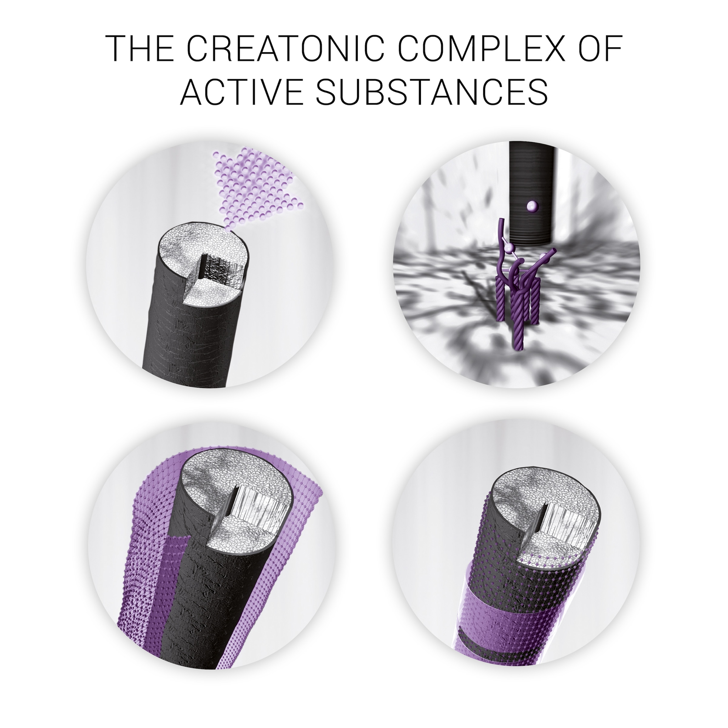 Wella SP Haarshampoo »Volumize Shampoo« mehr Volumen für feines Haar, stärkend