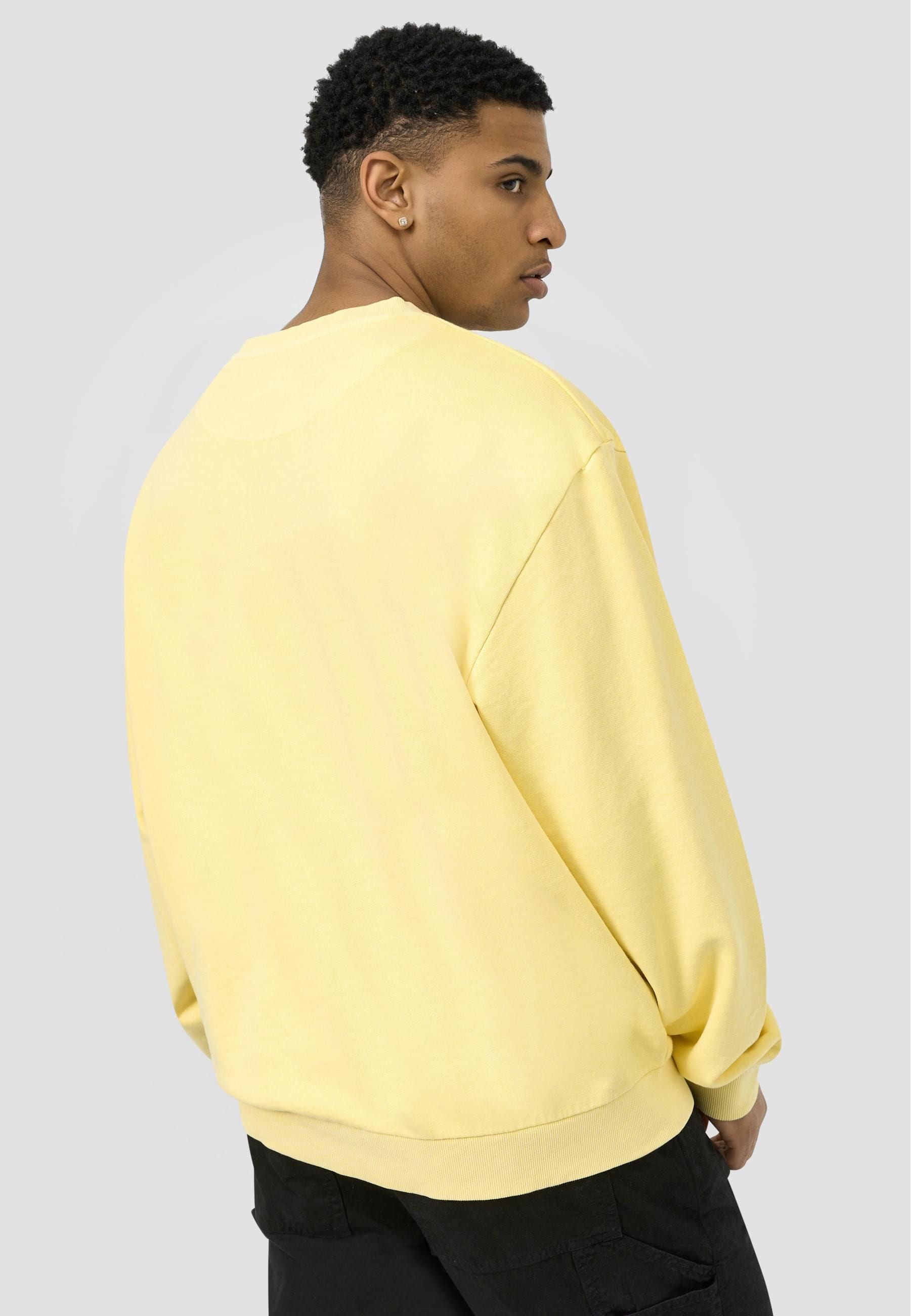 Karl Kani Rundhalspullover »Karl Kani Herren KM213-060-2 Small Signature OS Washed Crew«, (1 tlg.)