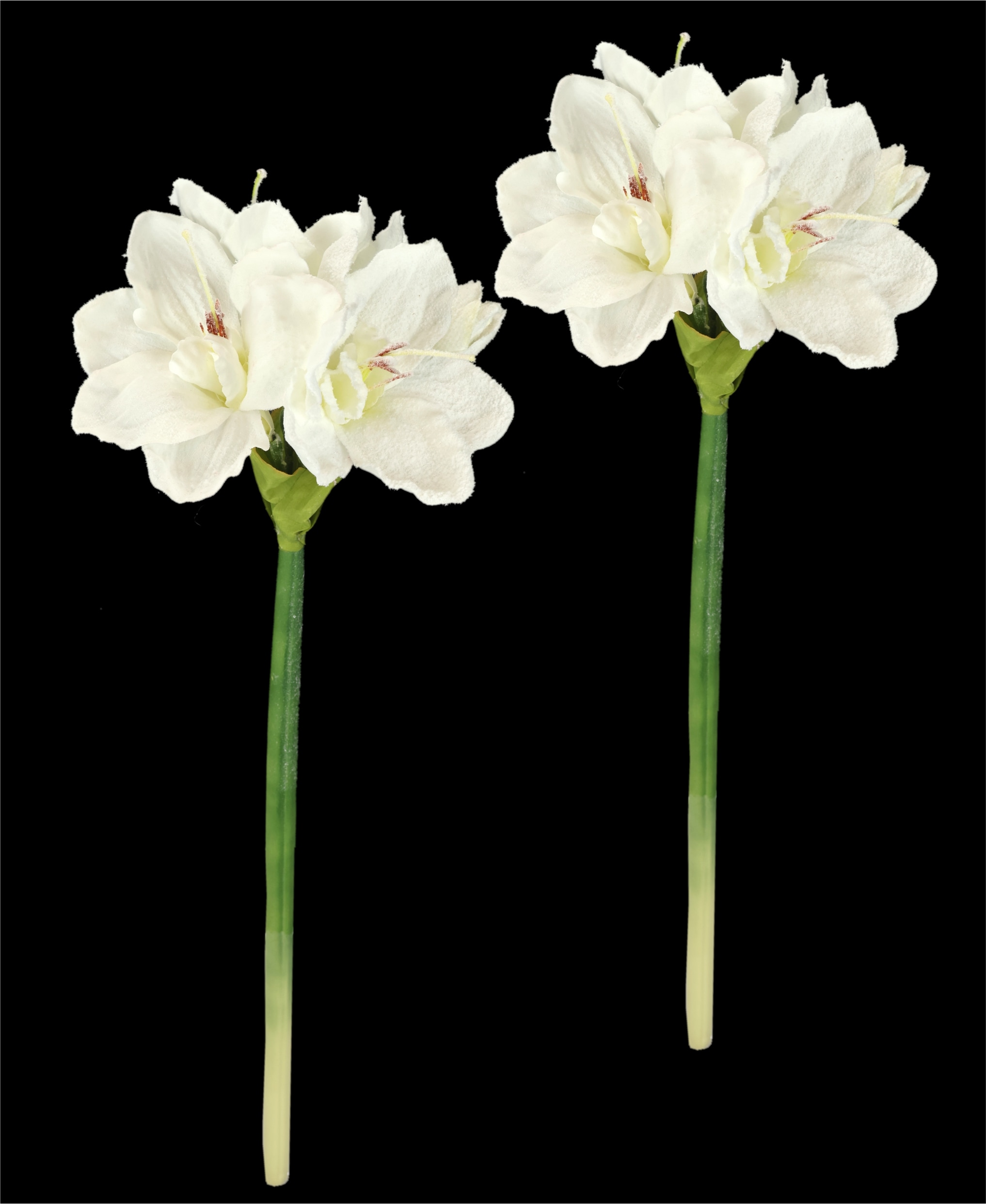 I.GE.A. Kunstblume »Amaryllis mit Kunstschnee«, 2er Set Zweige Winterblume Dekozweig Weihnachtsdeko Winterdeko