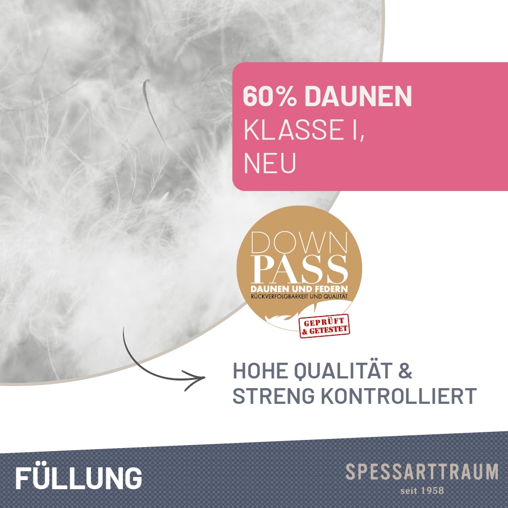SPESSARTTRAUM Daunenkissen »FIRST CLASS«, Füllung: 60% Daunen, 40%Federn, Bezug: 100% Baumwolle, (1 St.), hergestellt in Deutschland, allergikerfreundlich