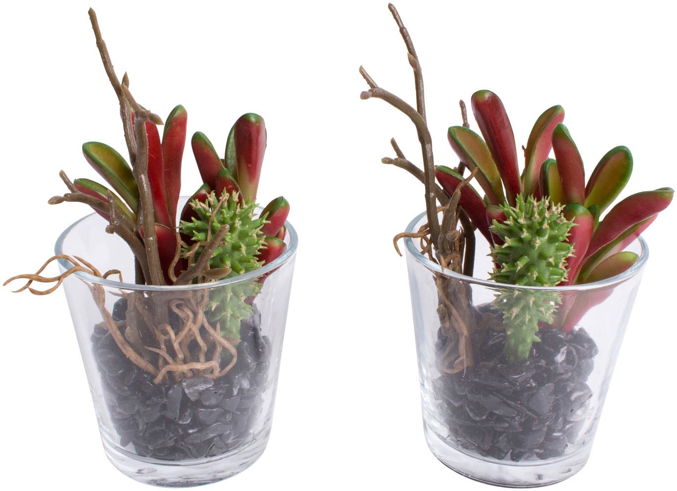 6er | kaufen »Mini-Sukkulenten«, Künstliche green im Set Zimmerpflanze Creativ BAUR Tontopf,