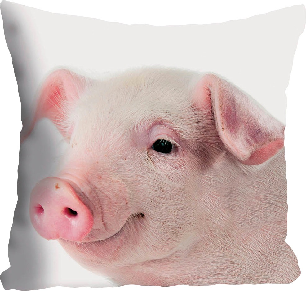 queence Dekokissen "Rebecca" Kissenhülle,süßes Schweinchen,Rosa,Niedlich,Ti günstig online kaufen