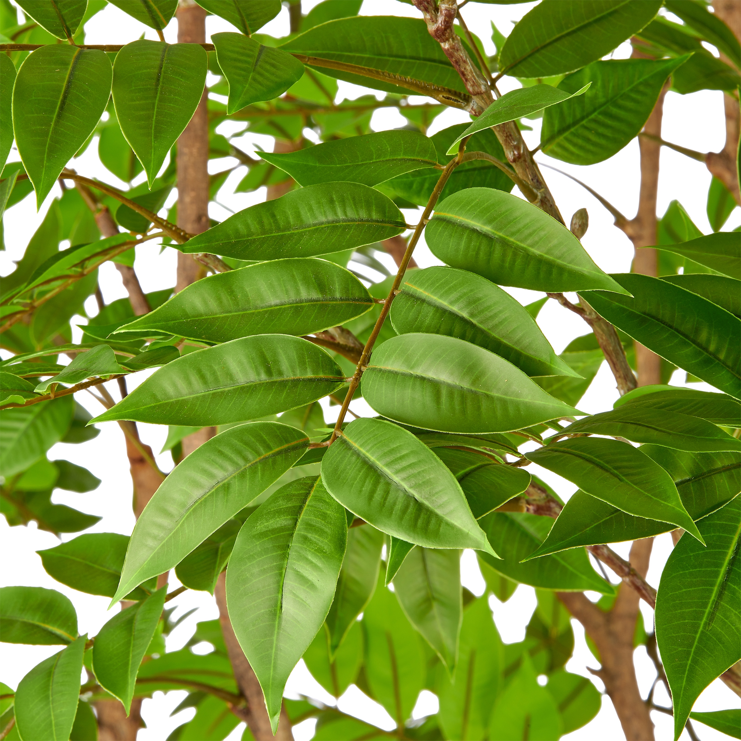 Creativ green Kunstbaum »Toxicodendron« in beeindruckender Größe