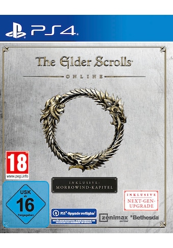 Bethesda Spielesoftware »The Elder Scrolls Onli...