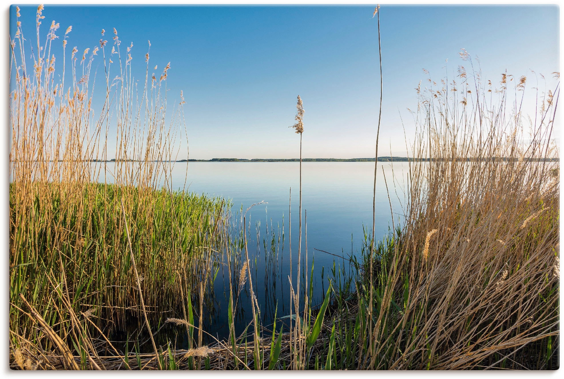 Artland Wandbild »Achterwasser Insel Usedom«, Küste, (1 St.), als Alubild, Leinwandbild, Wandaufkleber oder Poster in versch. Größen