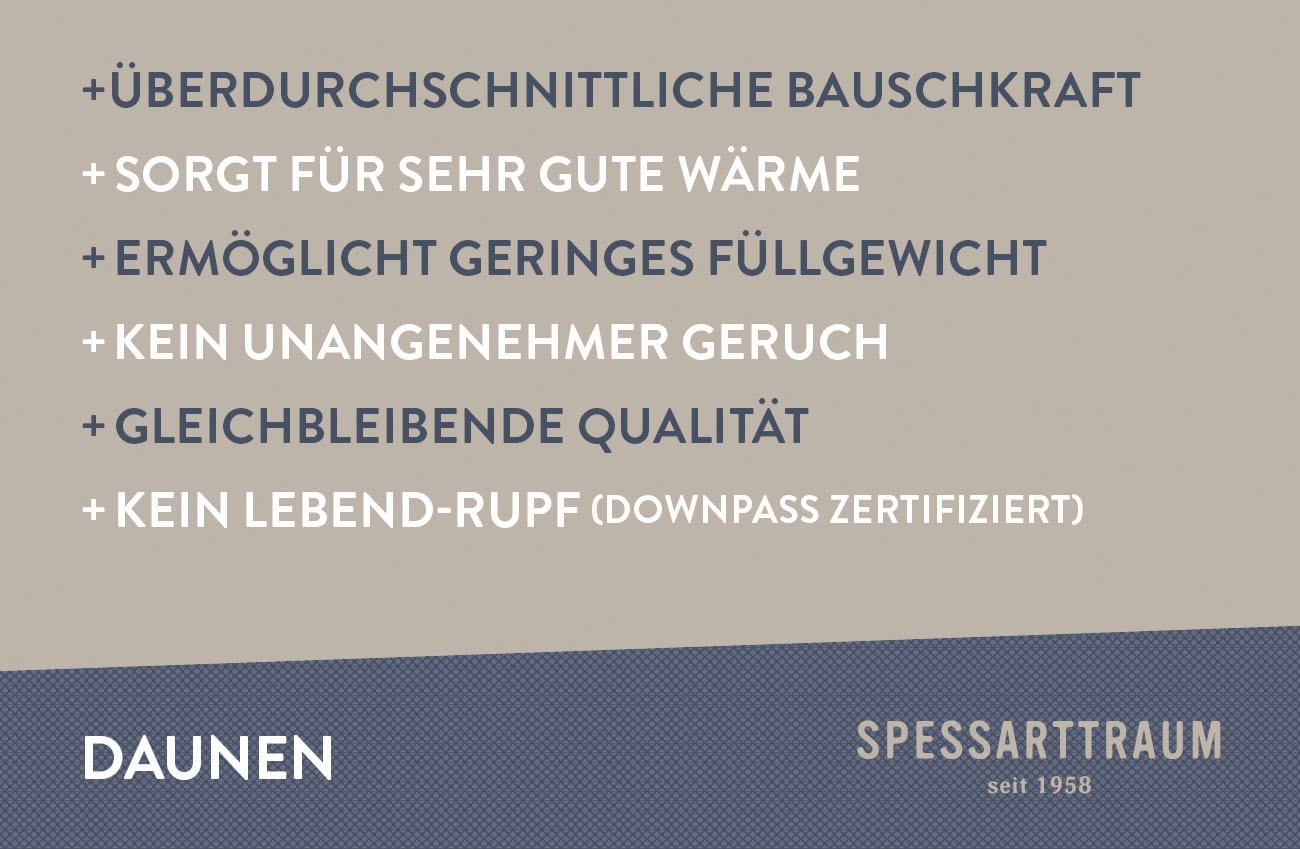 SPESSARTTRAUM Gänsedaunenbettdecke »Premium****, hergestellt in Deutschland«, Füllung 100% Gänsedaunen, Klasse 1, Downpass zertifiziert, Bezug 100% Baumwolle, nachhaltig (Made in Green), Hausstauballergiker geeignet, (1 St.)