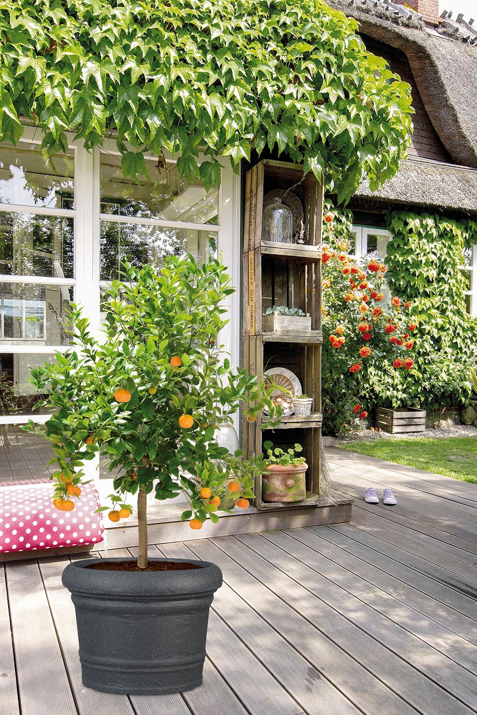 Scheurich Blumentopf »40/064 FORMIA«