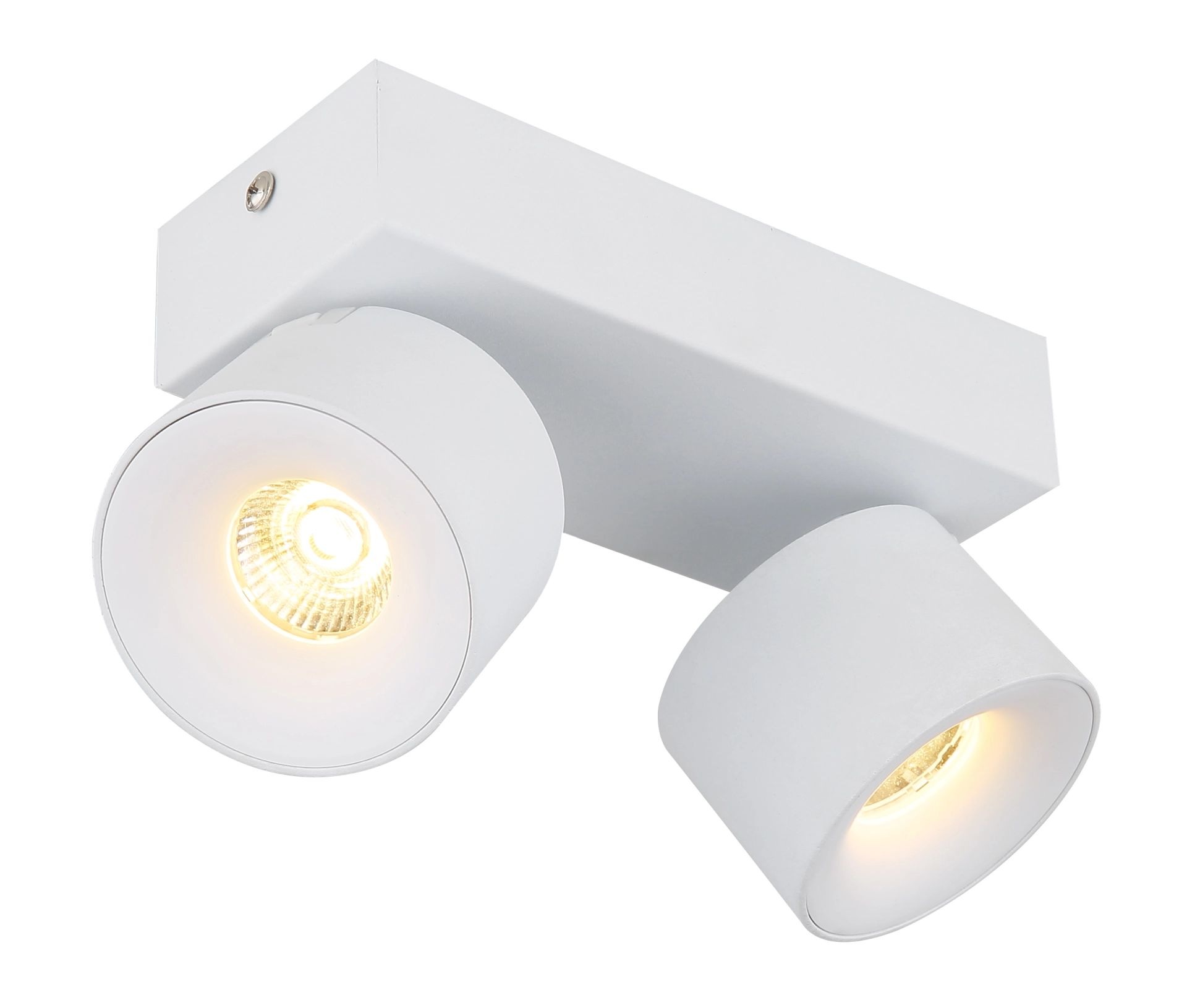 GLOBO LIGHTING LED Deckenstrahler »RAE«, 2 flammig, Leuchtmittel LED-Modul | LED fest integriert, Deckenspot, Wohnraum, Flur, Arbeitszimmer
