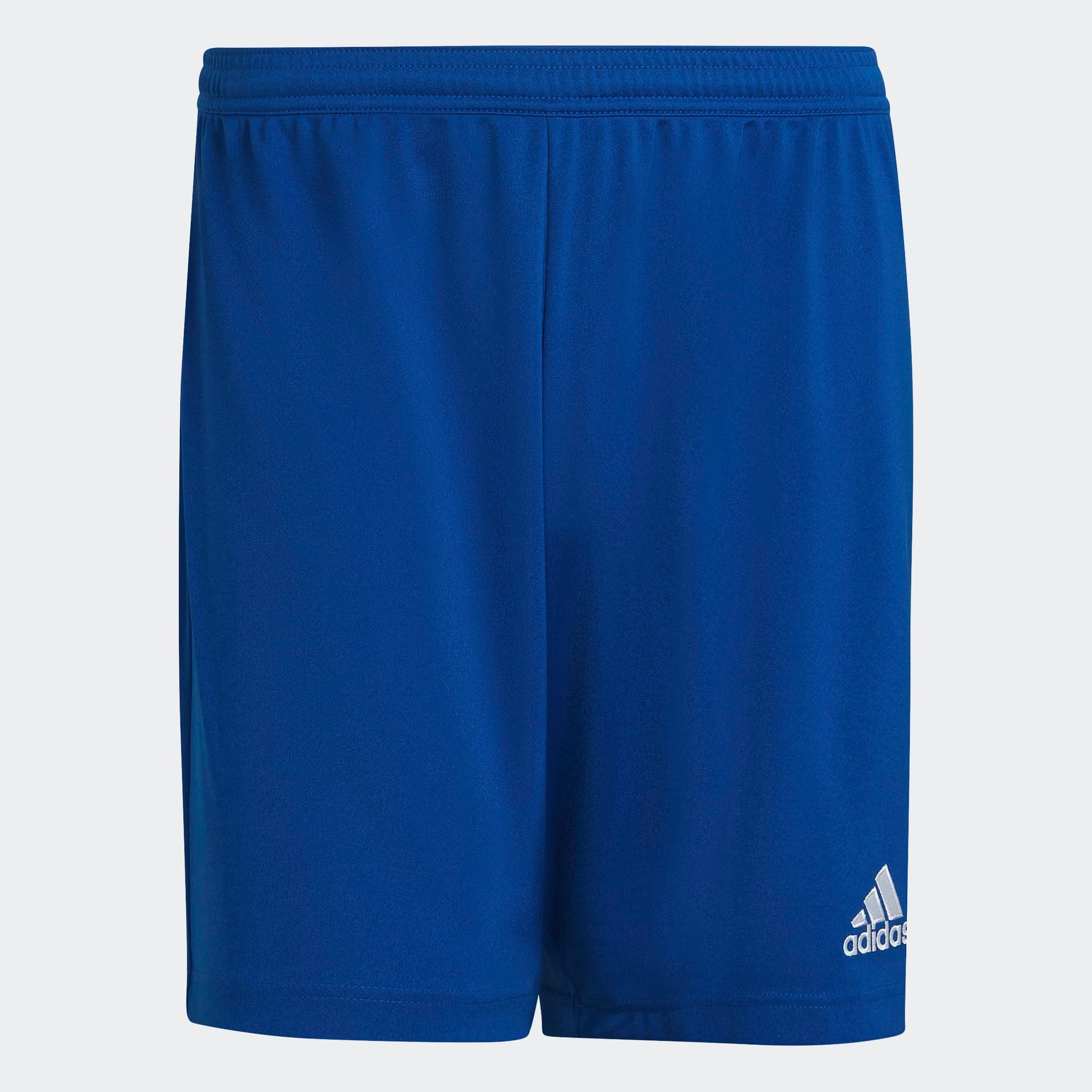 adidas Performance Trainingsshorts »ENT22 SHO«, (1 tlg.)