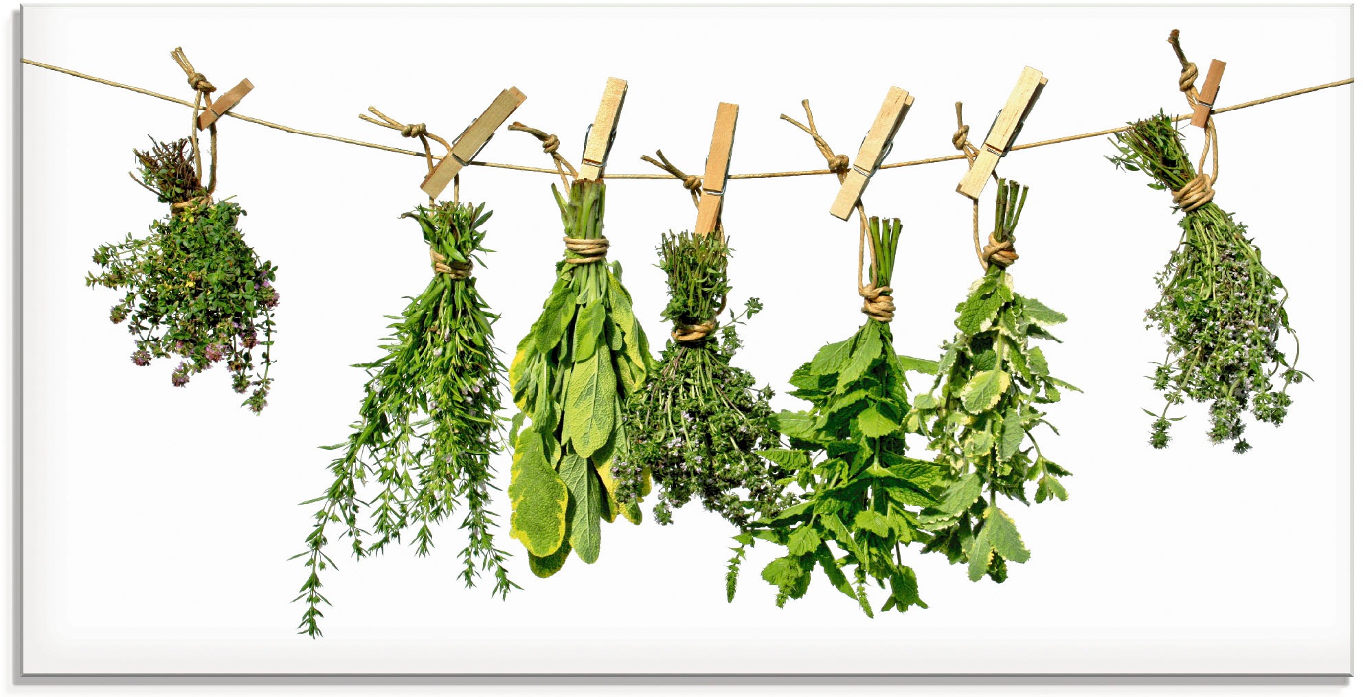 Artland "Kräuter" Pflanzen 1 Stk. tlg. in verschiedenen Größen