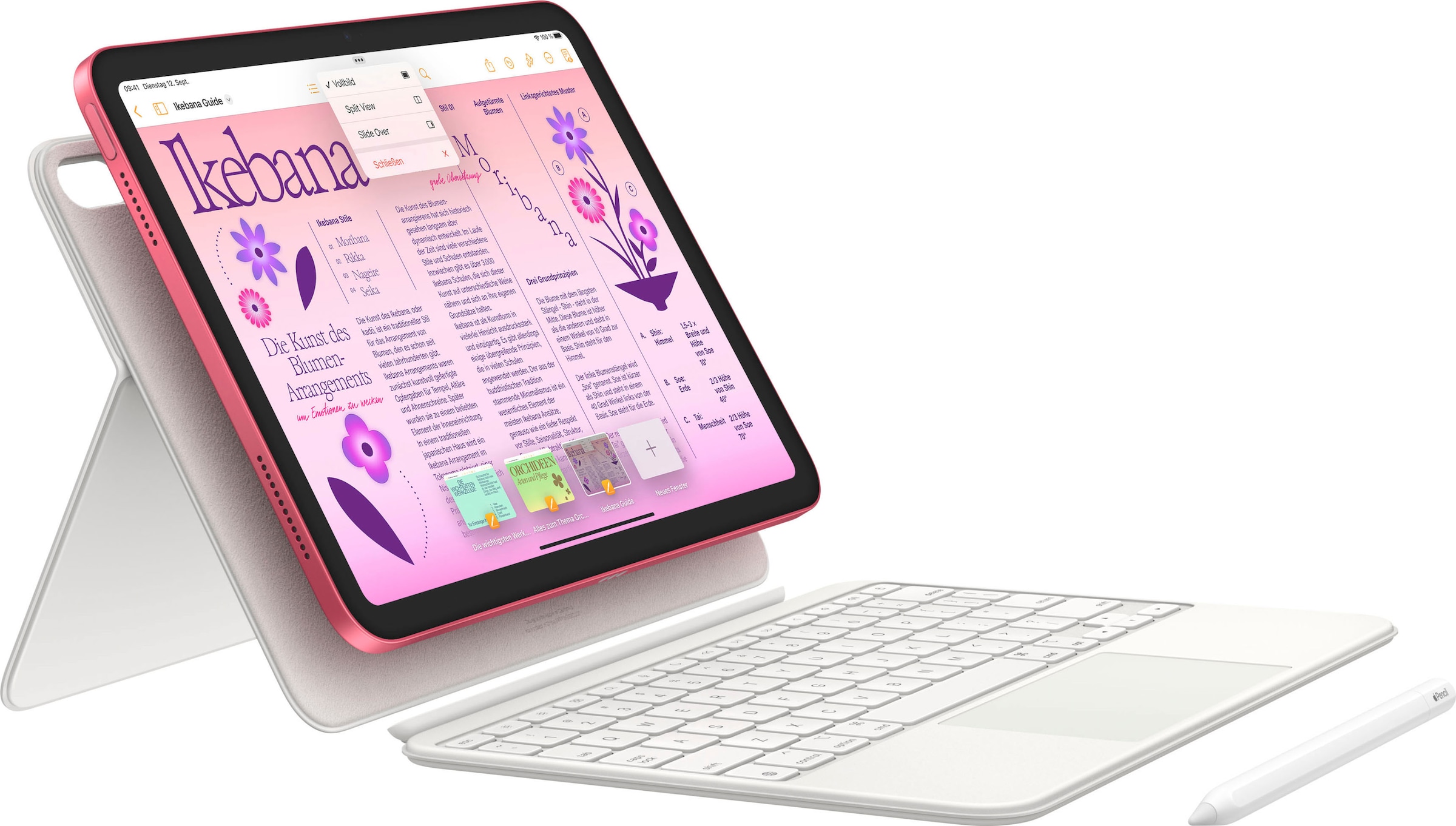 Apple Tablet »iPadWi-Fi 10. Generation inklusive Poweradapter«, (27,68 cm / 10,9 Zoll), iPadOS,)