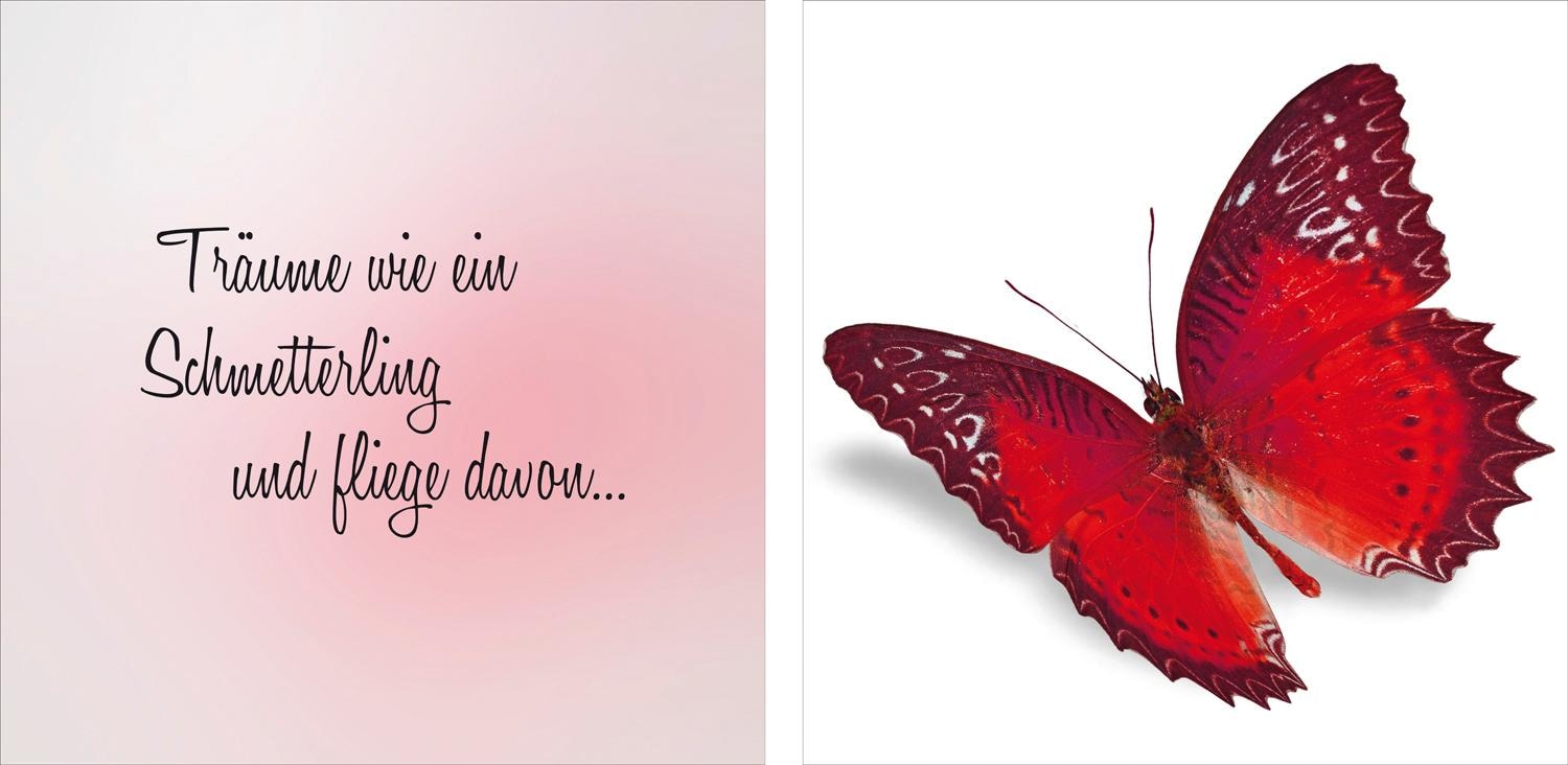 queence Leinwandbild "flieg davon" Kunst Modern Schmetterlinge Schriftzug Schriftzüge Spa Spa Bilder Sprüche Sprüche & Texte Tiere Set, Premium-Leinwandstoff, Handarbeit aus Deutschland, Spruch, 2er Set