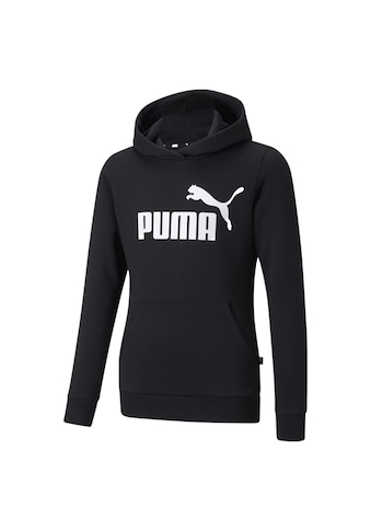 PUMA Sportinio stiliaus megztinis »Essentia...