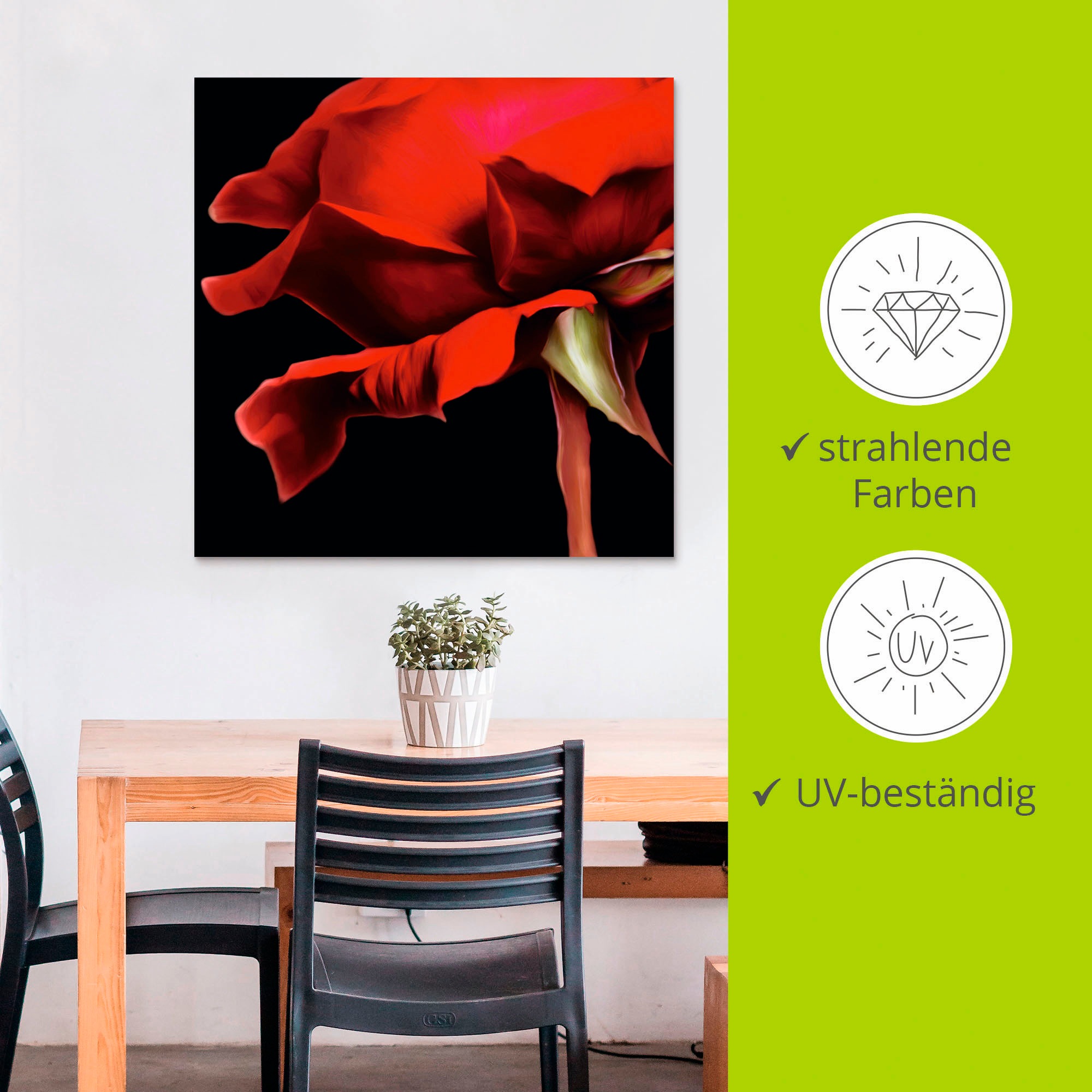 Artland Wandbild »Rose«, Blumen, (1 St.), als Alubild, Outdoorbild, Wandaufkleber in verschied. Größen