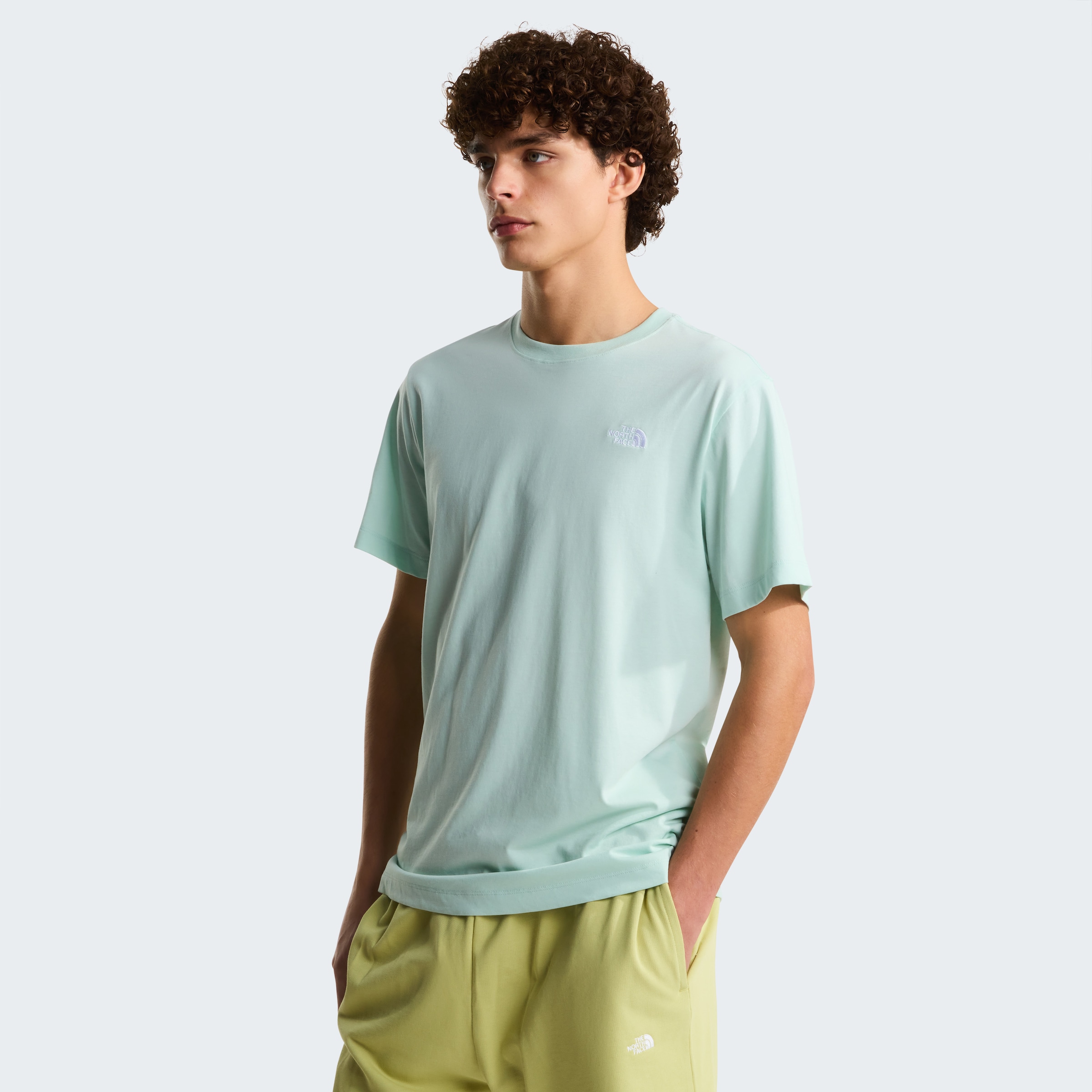 The North Face T-Shirt "M EVOLUTION SIMPLE DOME REGULAR SHORT SL" 1 tlg. günstig online kaufen