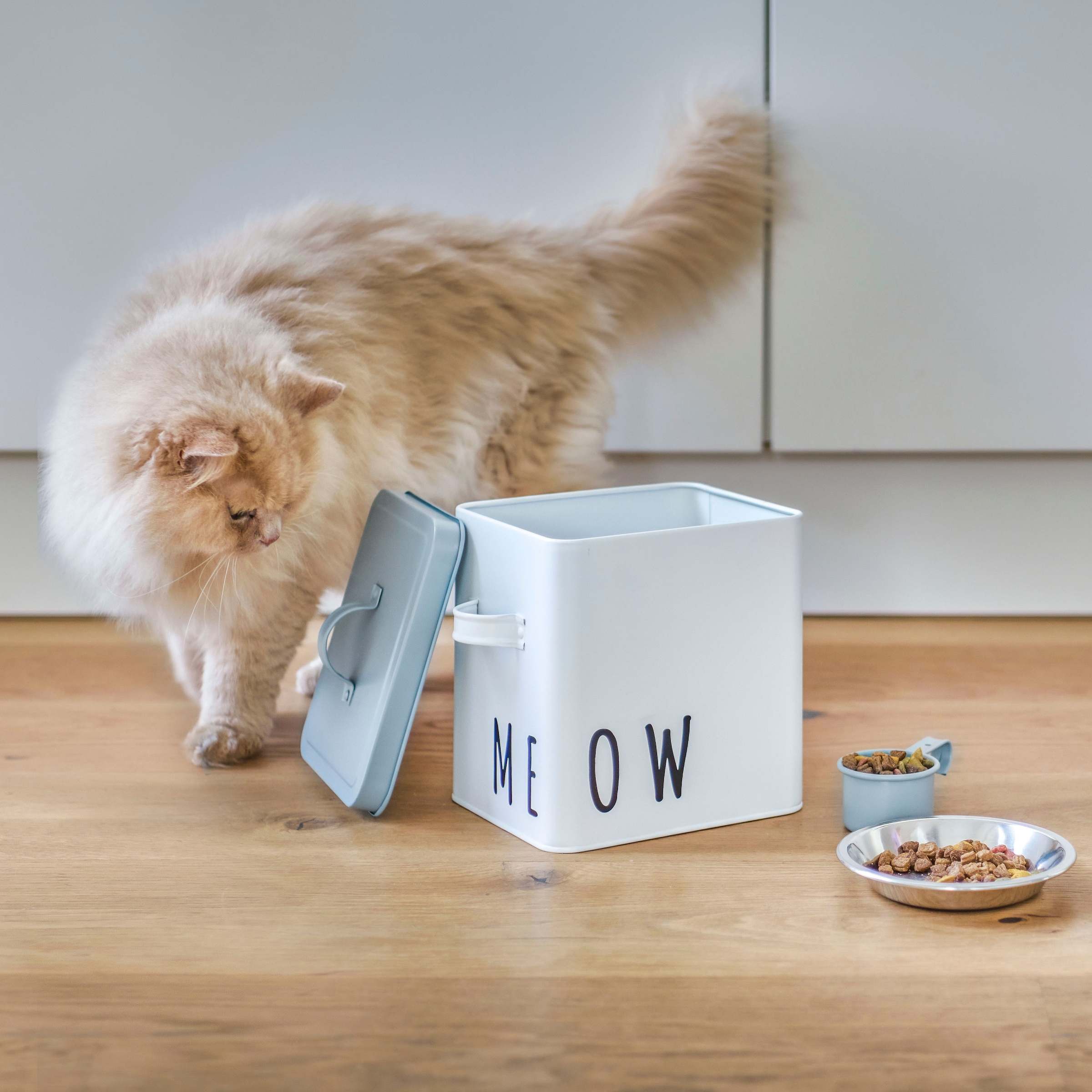 Zeller Present Vorratsdose »Meow«, (2 tlg.), für Katzenfutter