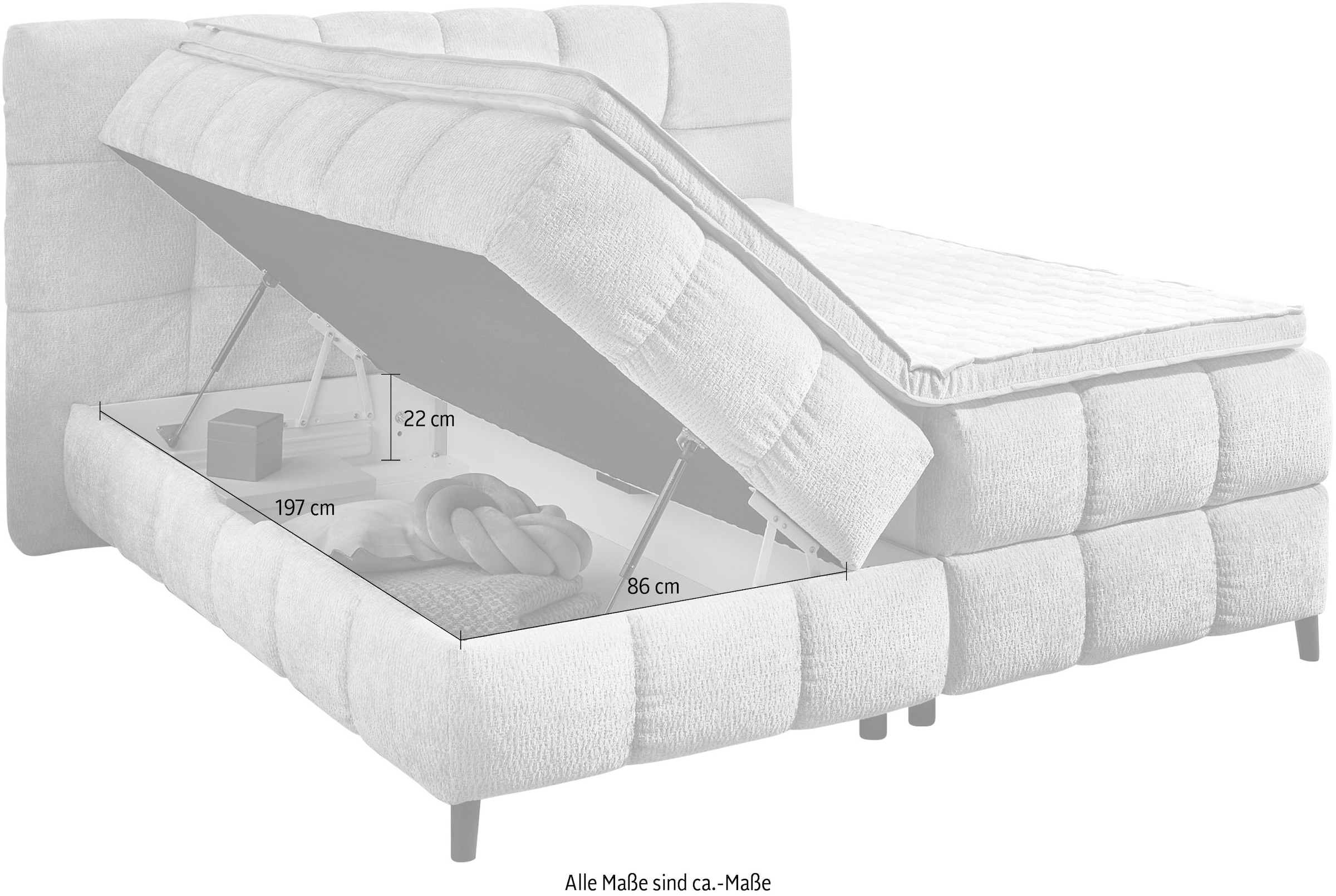 Jockenhöfer Gruppe Boxbett »Molly in der Breite 180cm, inkl. Bettkasten« 7-Zonen-TTFK-Matratze, Kaltschaum-Topper, verschiedenen Farben