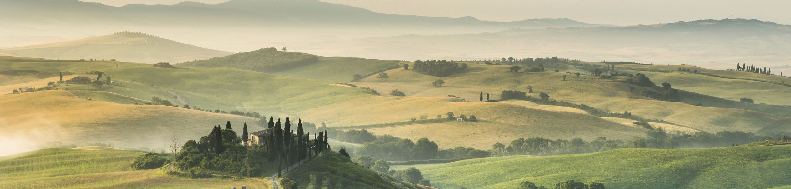 EXPRESS KÜCHEN Küchenrückwand "Toscana", B/H: 240cm x 55,9cm, grün, Spritzschutzwände