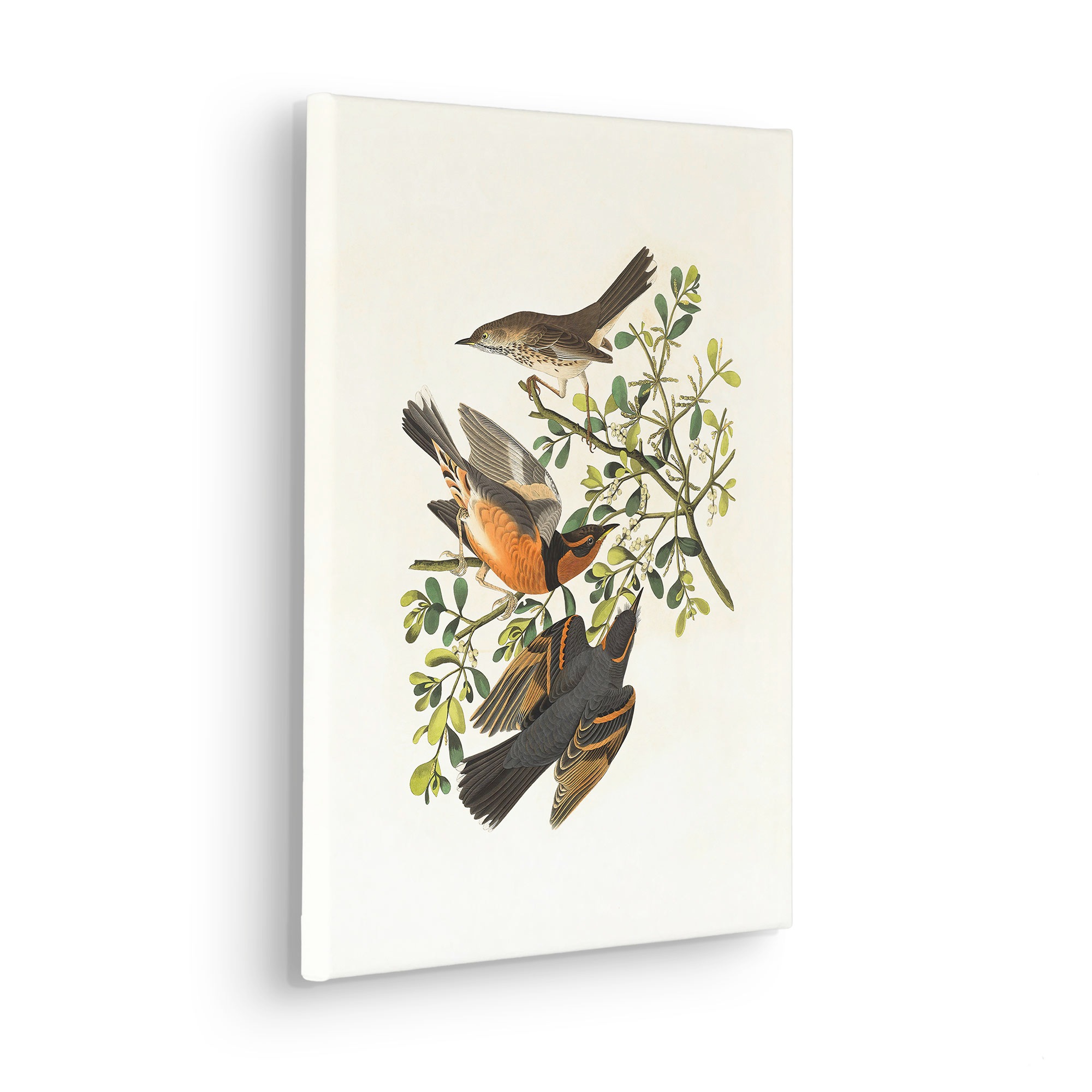 Komar Leinwandbild "Heidi - Größe 30 x 40 cm" Natur 1 Stk. tlg. Keilrahmenb günstig online kaufen