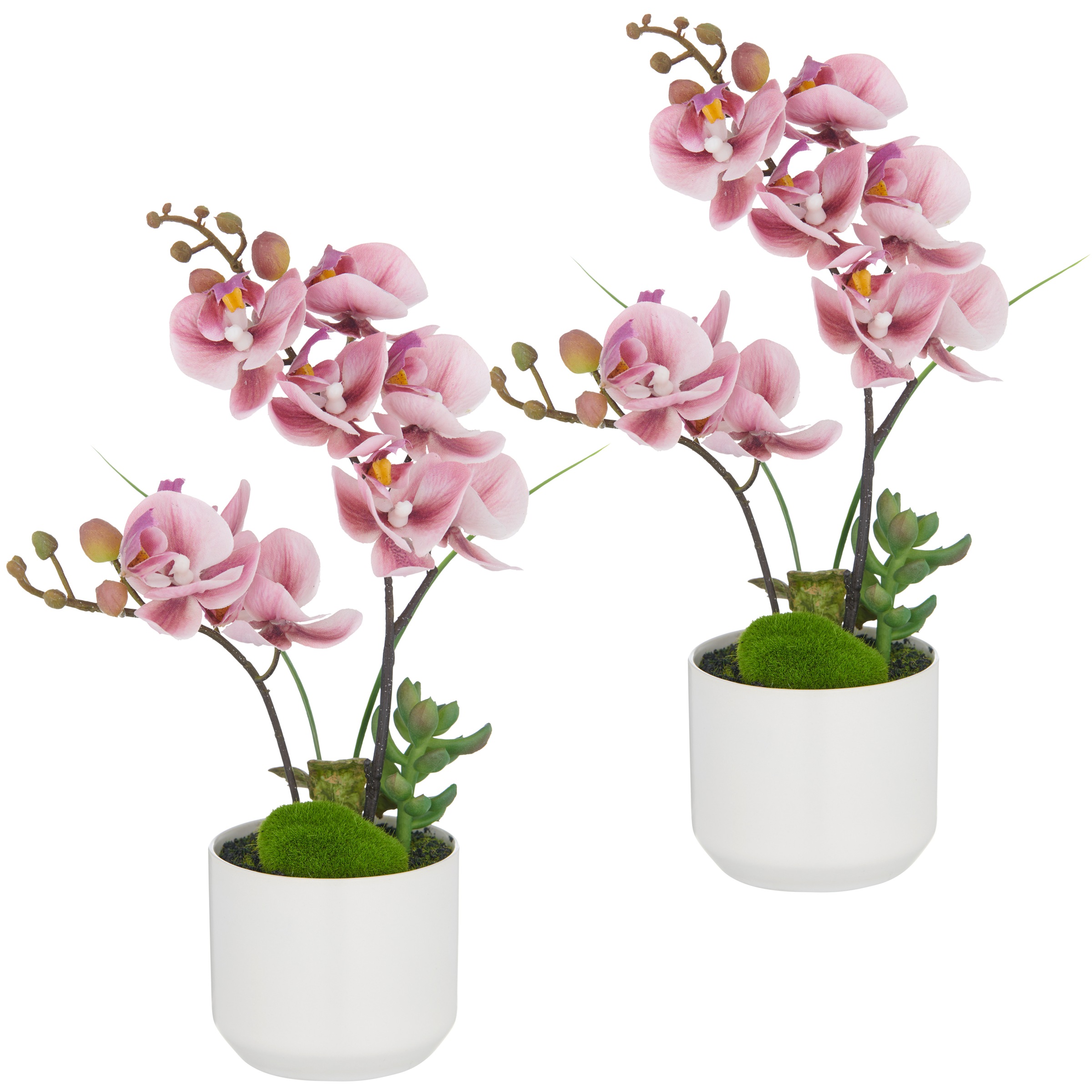 Creativ green Kunstorchidee "Orchidee Phalaenopsis", mit real-touch-Blüten günstig online kaufen