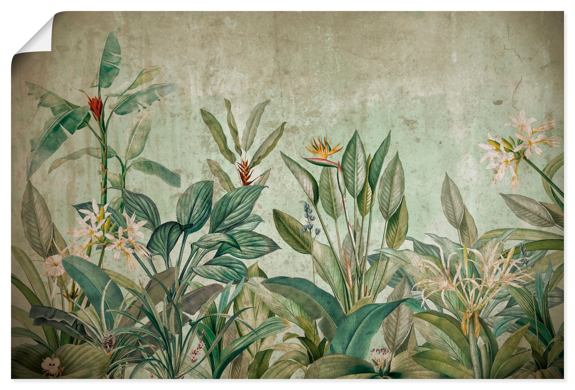 Wandbild ARTLAND "Exotische Dschungel Landschaft", farbe bild(er): grün, B:120cm H:80cm, Papier, Bilder, als Alubild, Leinwandbild, Poster, Wandaufkleber in verschied. Größen