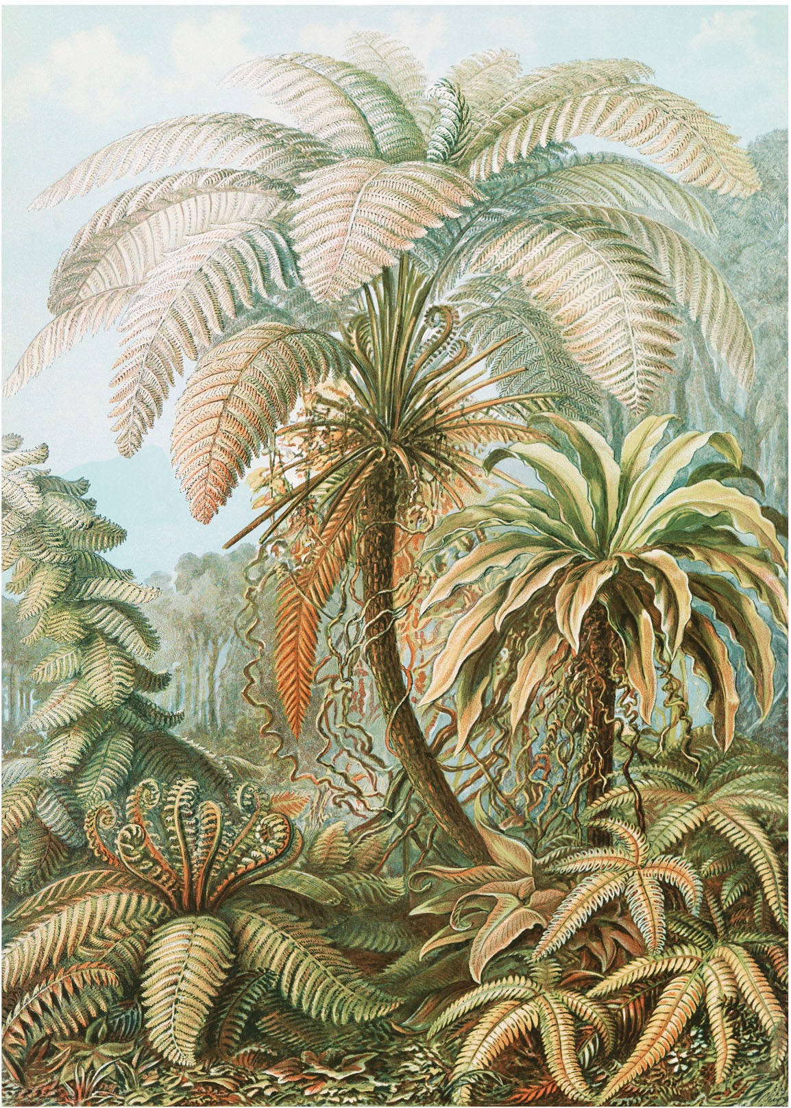 Art for the home Vliestapete »Fototapete Jungle« glatt