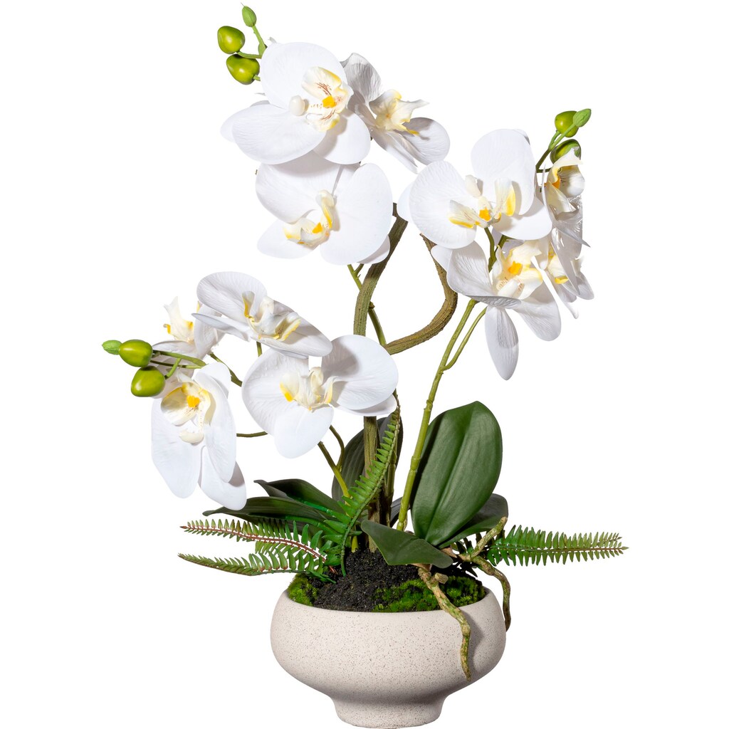 Creativ green Kunstorchidee »Orchidee Phalaenopsis im Keramiktopf«, (1 St.)