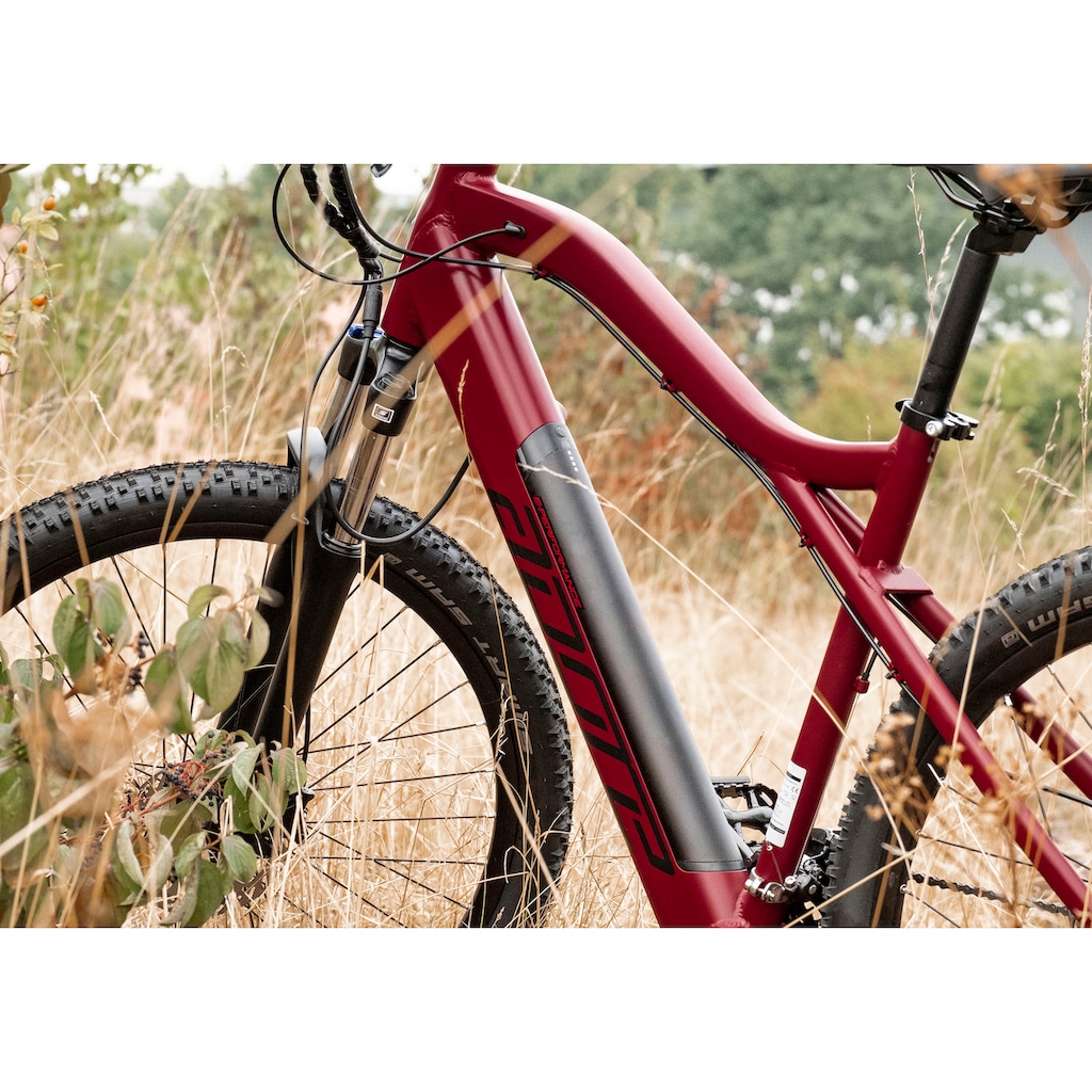 Adore E-Bike »Enforce«, 24 Gang, Shimano, Altus, Heckmotor 250 W