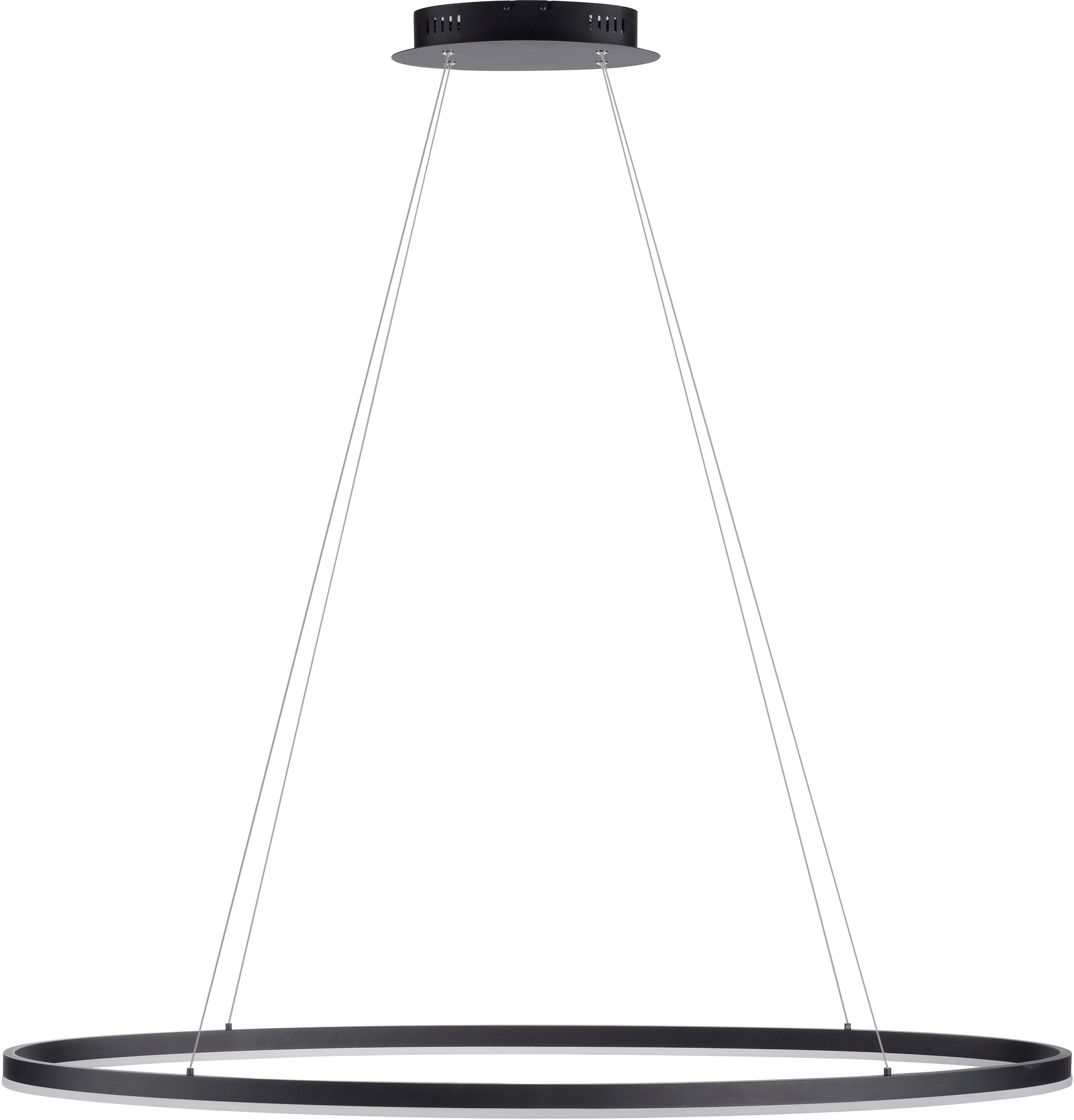 Paul Neuhaus »TITUS«, Pendelleuchte LED, flammig-flammig, | BAUR Dim Simply 1