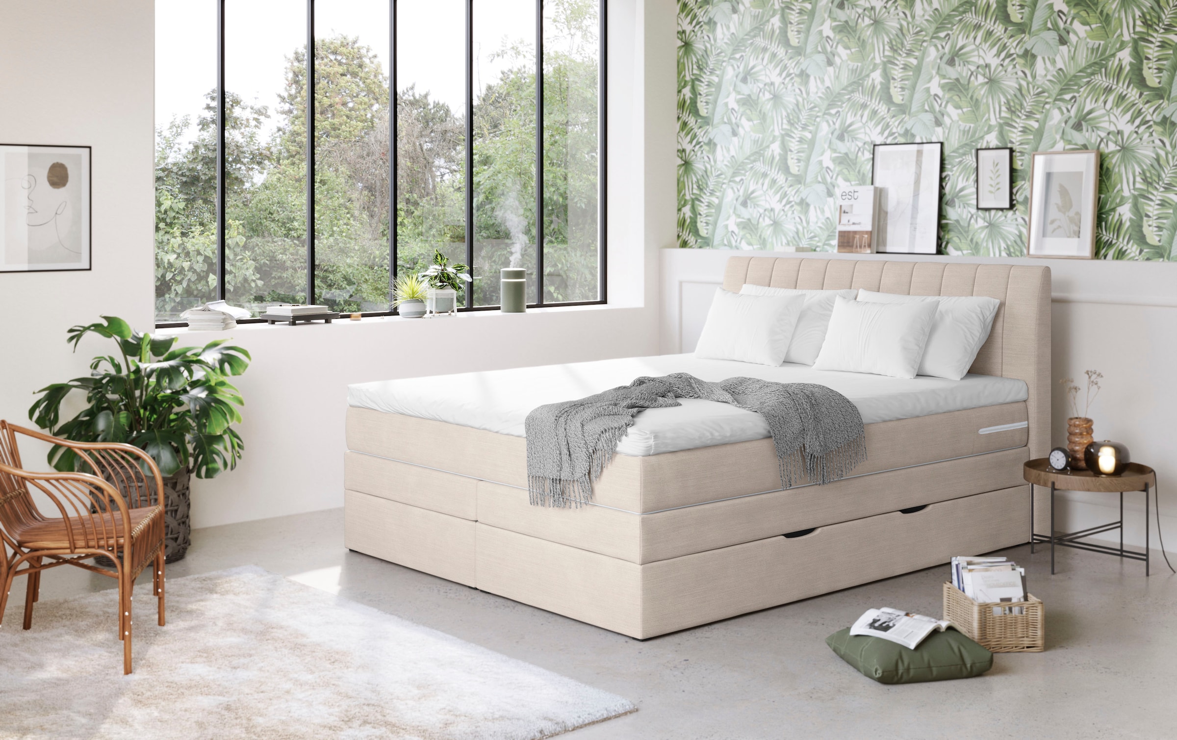 COTTA Boxspringbett "Shark inkl. Bettkasten und Topper", erhältlich in den günstig online kaufen