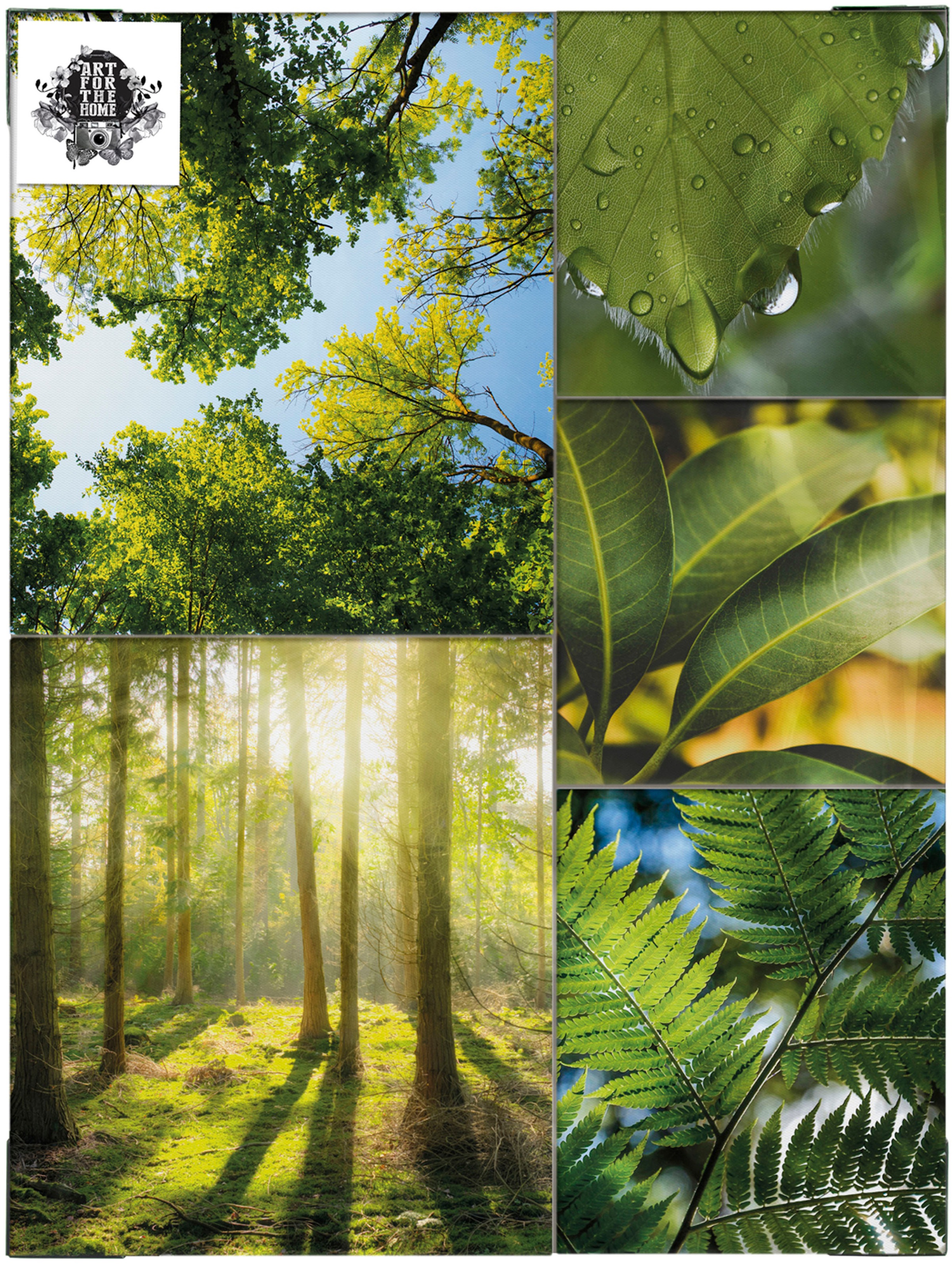 Art for the home Leinwandbild "Pure Natur" Landschaft Set, grüne Stille SET günstig online kaufen