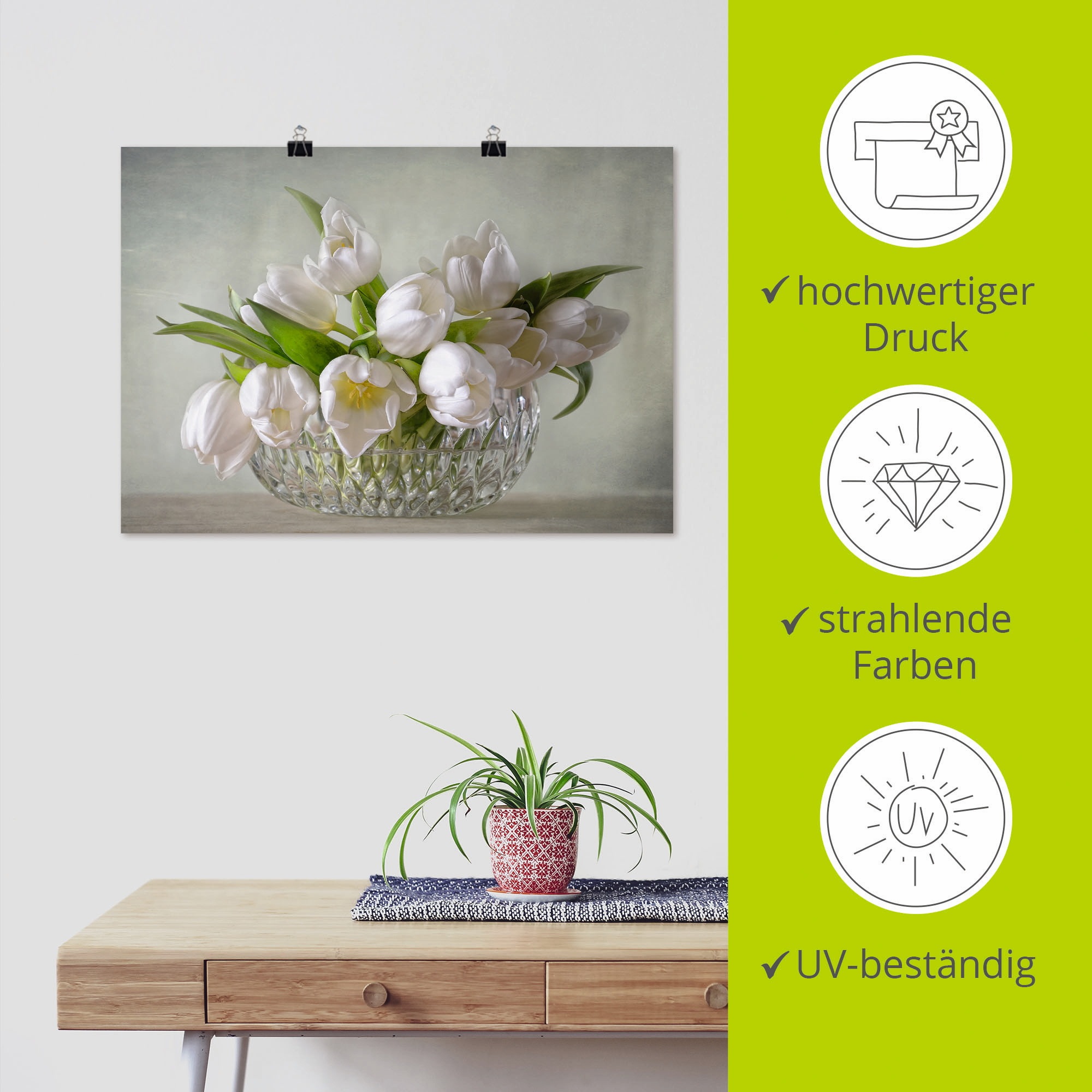 Artland Wandbild »Weiße Tulpen«, Blumen, (1 St.), als Leinwandbild, Poster, Wandaufkleber in verschied. Größen