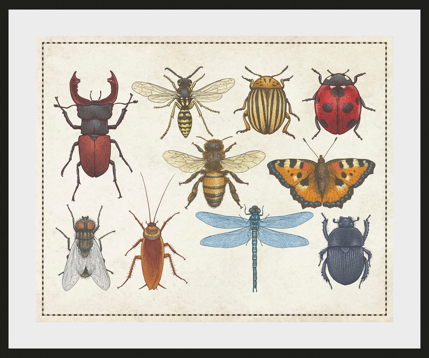 queence Bild »Das Große Krabbeln«, Schmetterlinge-Kunst-Insekten, (1 St.), HD Premium Poster-Druck inkl. Holzrahmen