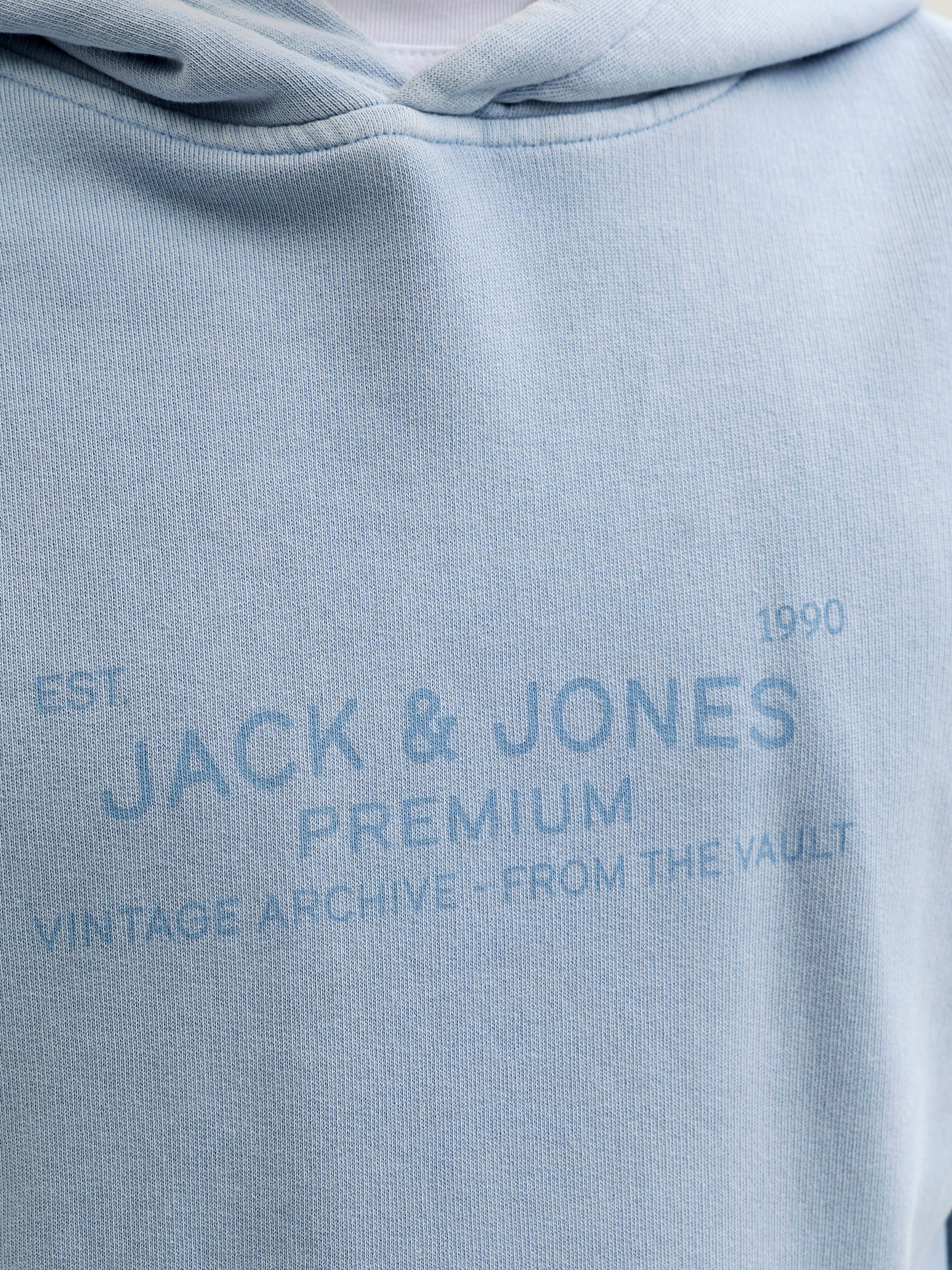 Jack & Jones Kapuzensweatshirt »JPRBLUAIDEN HOOD SWEAT«, Baumwolle, regular fit
