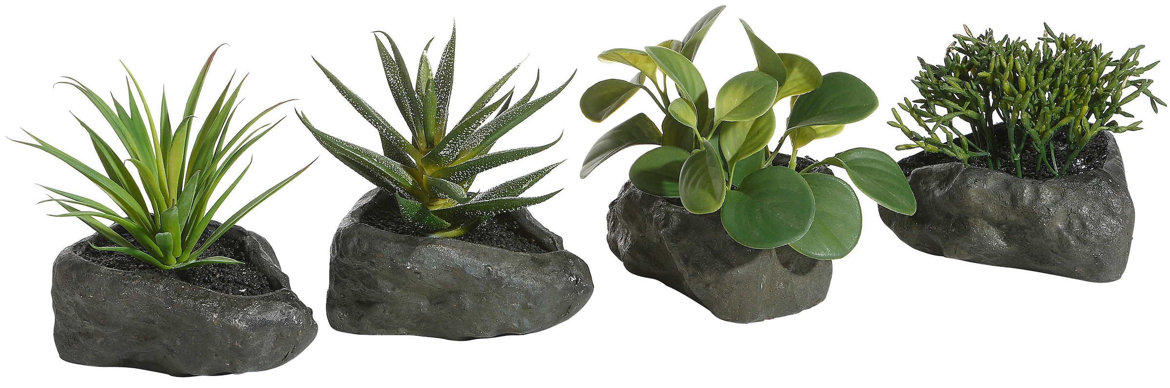 OTTO home Kunstpflanze "Sukkulenten" 4er Set