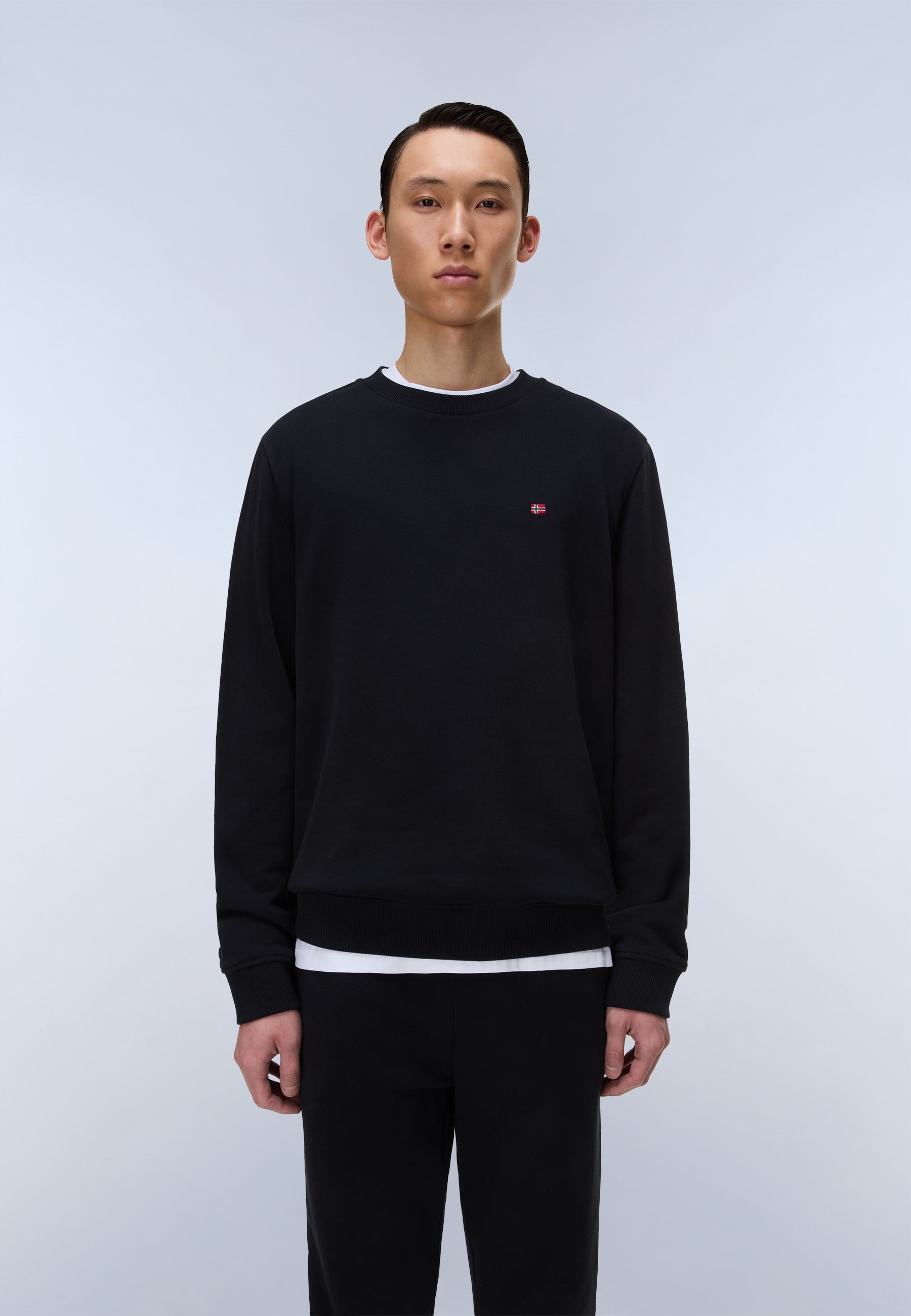Napapijri Kapuzensweatshirt, mit Langarm-Design, aus Baumwolle