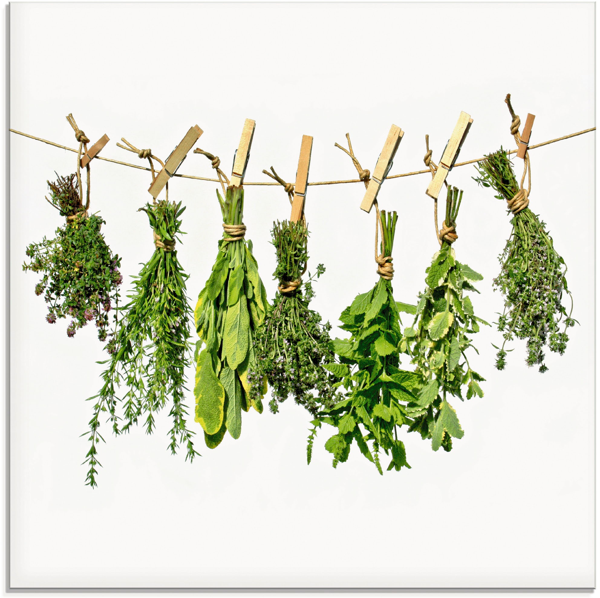 Artland "Kräuter" Pflanzen 1 Stk. tlg. in verschiedenen Größen günstig online kaufen