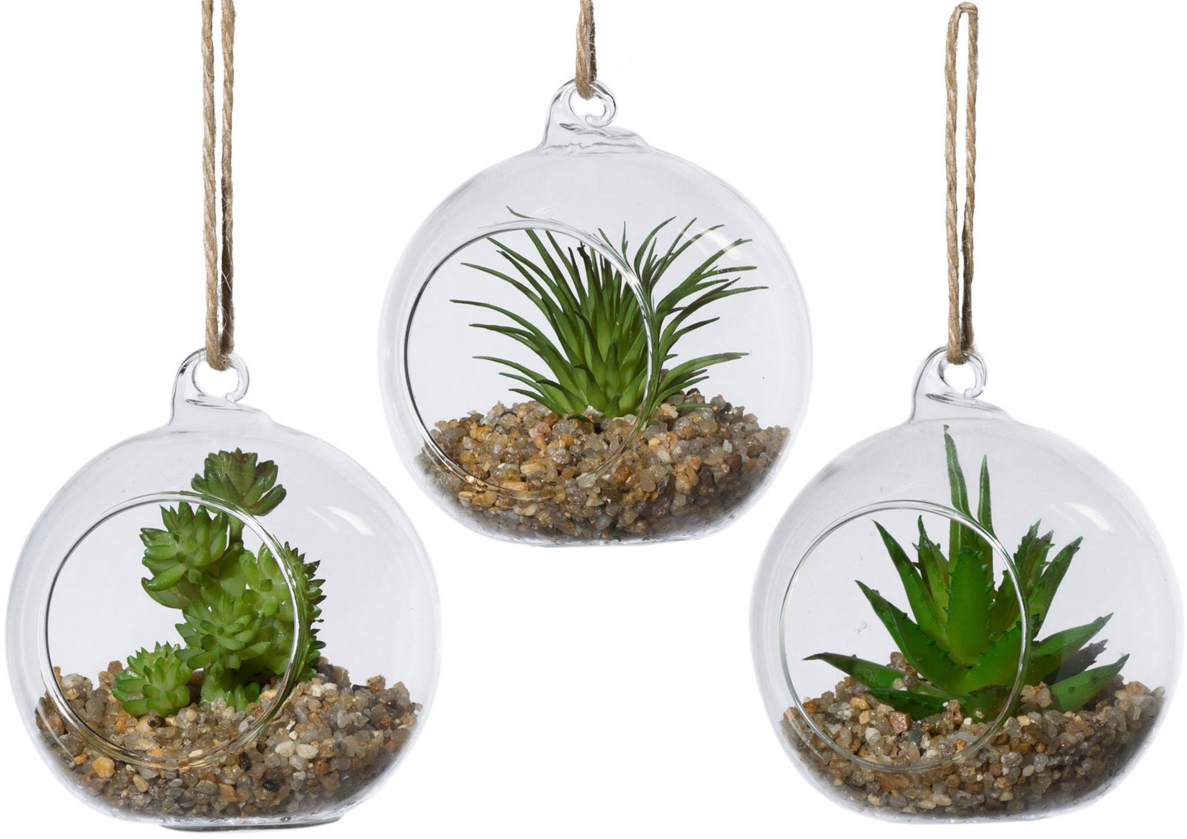 Kunstpflanze »Sukkulenten«, im Set, im Glasgefäß