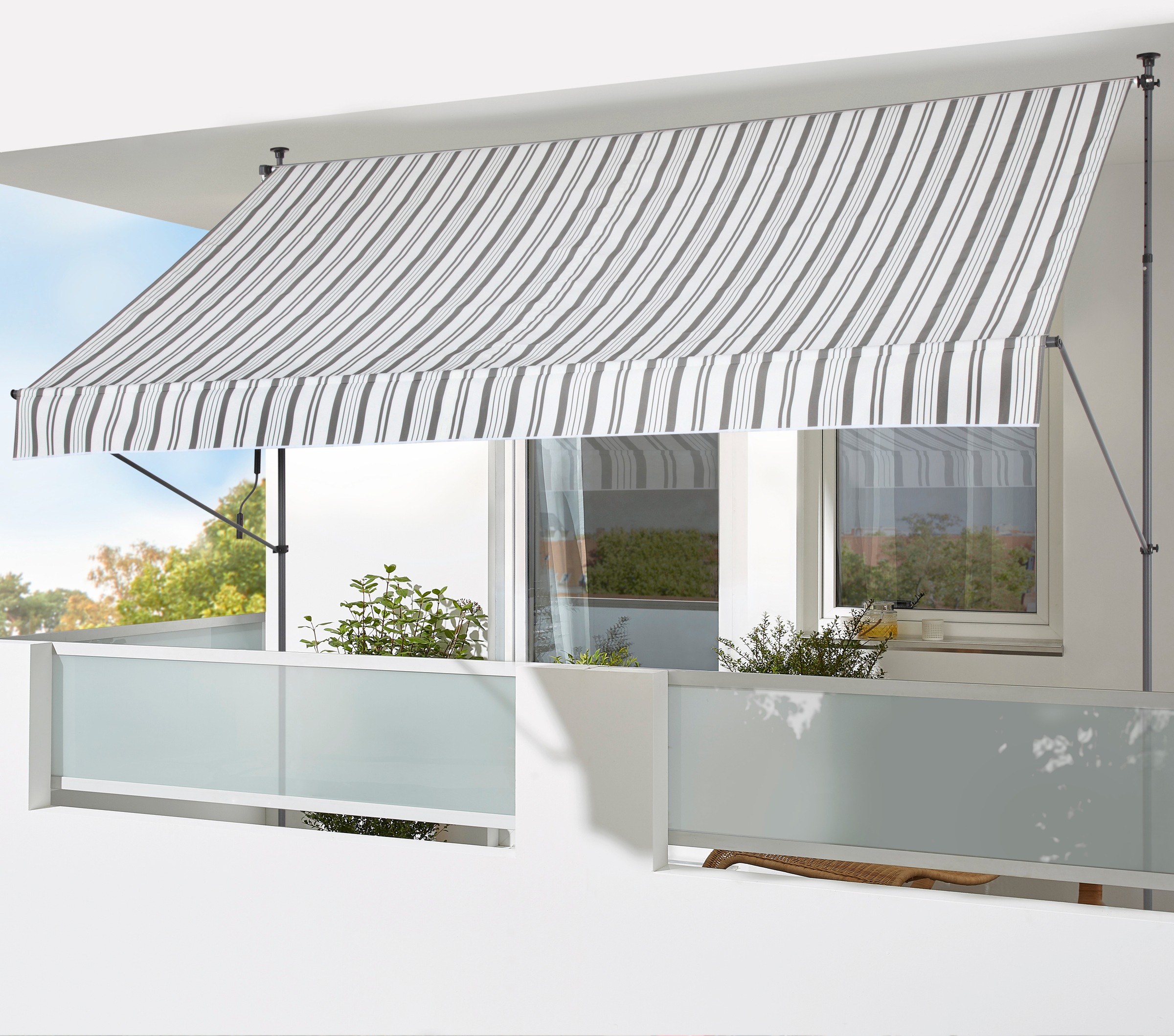 KONIFERA "Altea" Breite/Ausfall: 300/150 cm