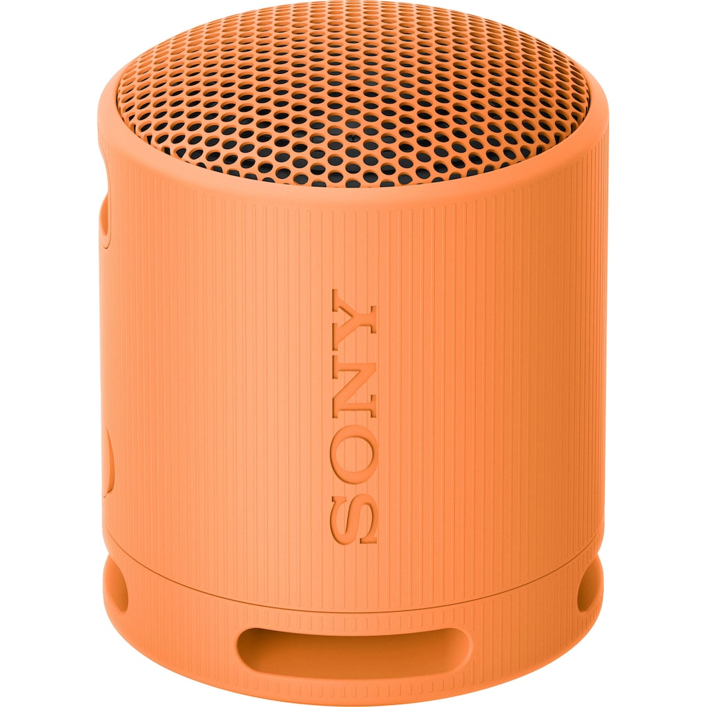 Sony Bluetooth-Lautsprecher »SRS-XB100«