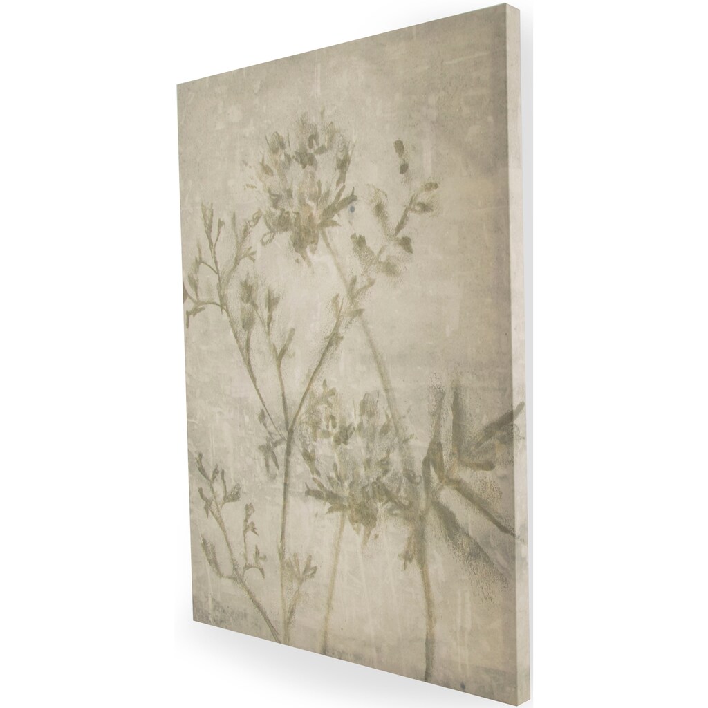 Art for the home Leinwandbild »Gepresste Blumen«, Blumen