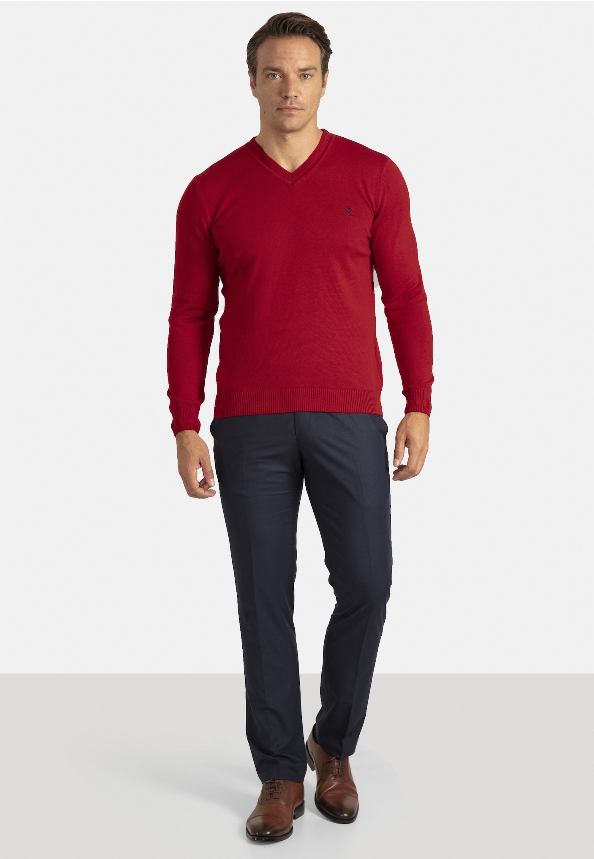 SIR RAYMOND TAILOR Strickpullover »Los Angeles«, (1 tlg.), mit klassischem V-Ausschnitt