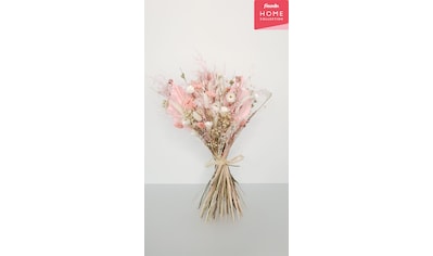 freundin Home Collection Trockenblume »Pink Spotlight«, (1 St.), Blumenstrauß kaufen
