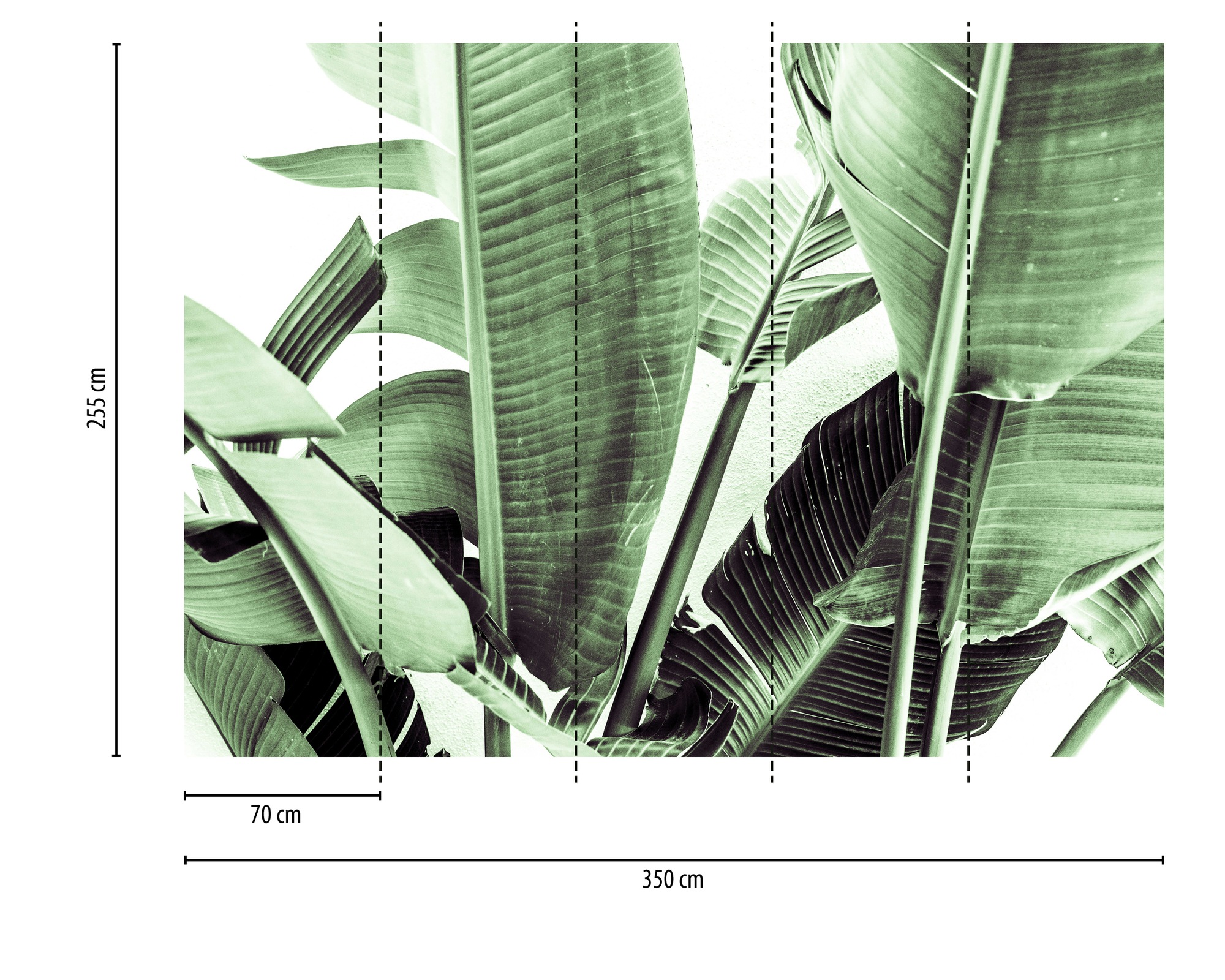 Thumbnail - A.S. Création Vliestapete "Bananenblatt Fototapete Grün Weiß" matt strukturiert