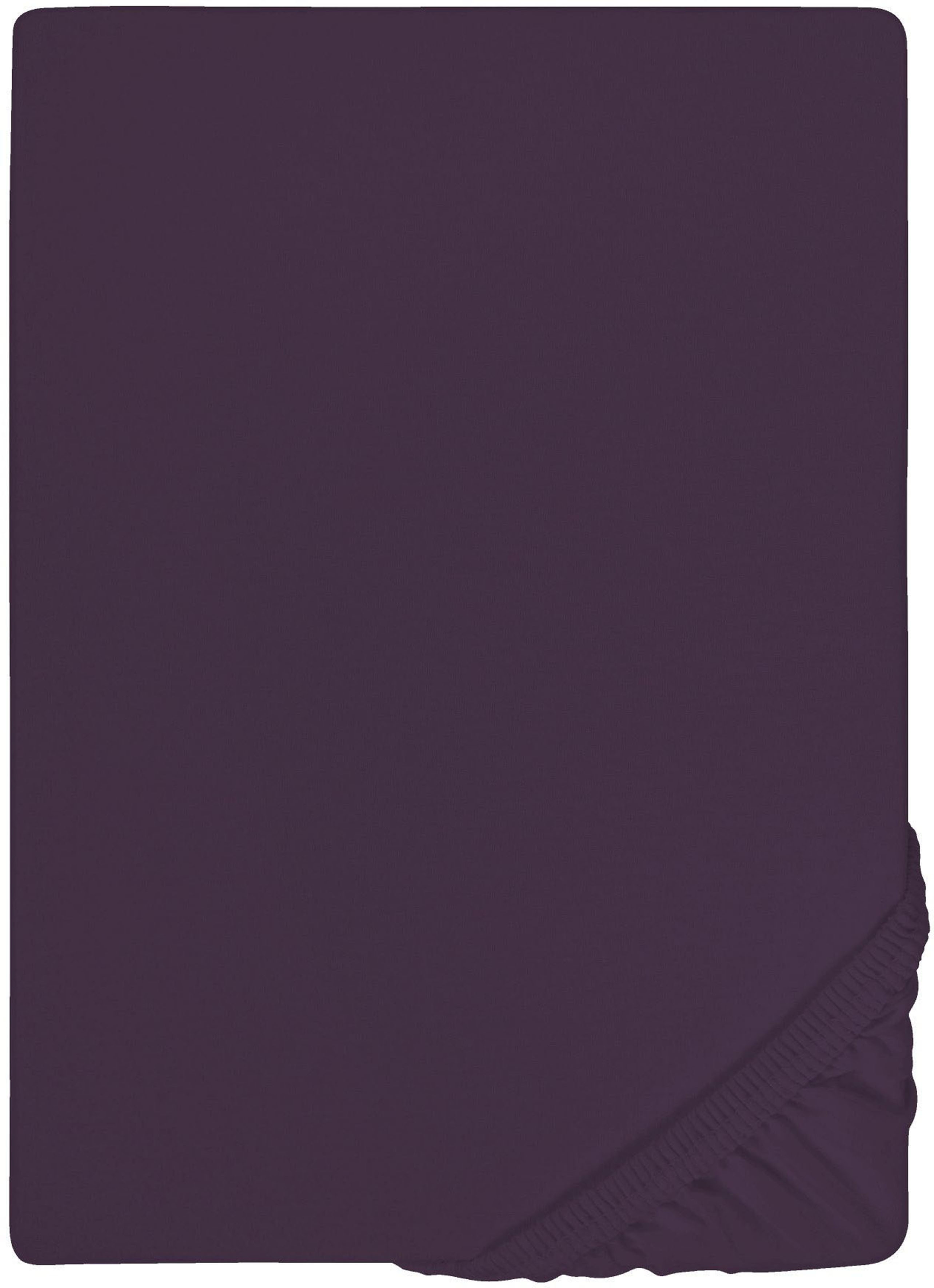 Biberna Spannbettlaken "0077866 Deluxe Jersey-Elastic Spannbetttuch 97% Baumwolle" Jersey mit Elasthan, Rundumgummi, bügelfrei, ab Größe 90 x 190 cm i