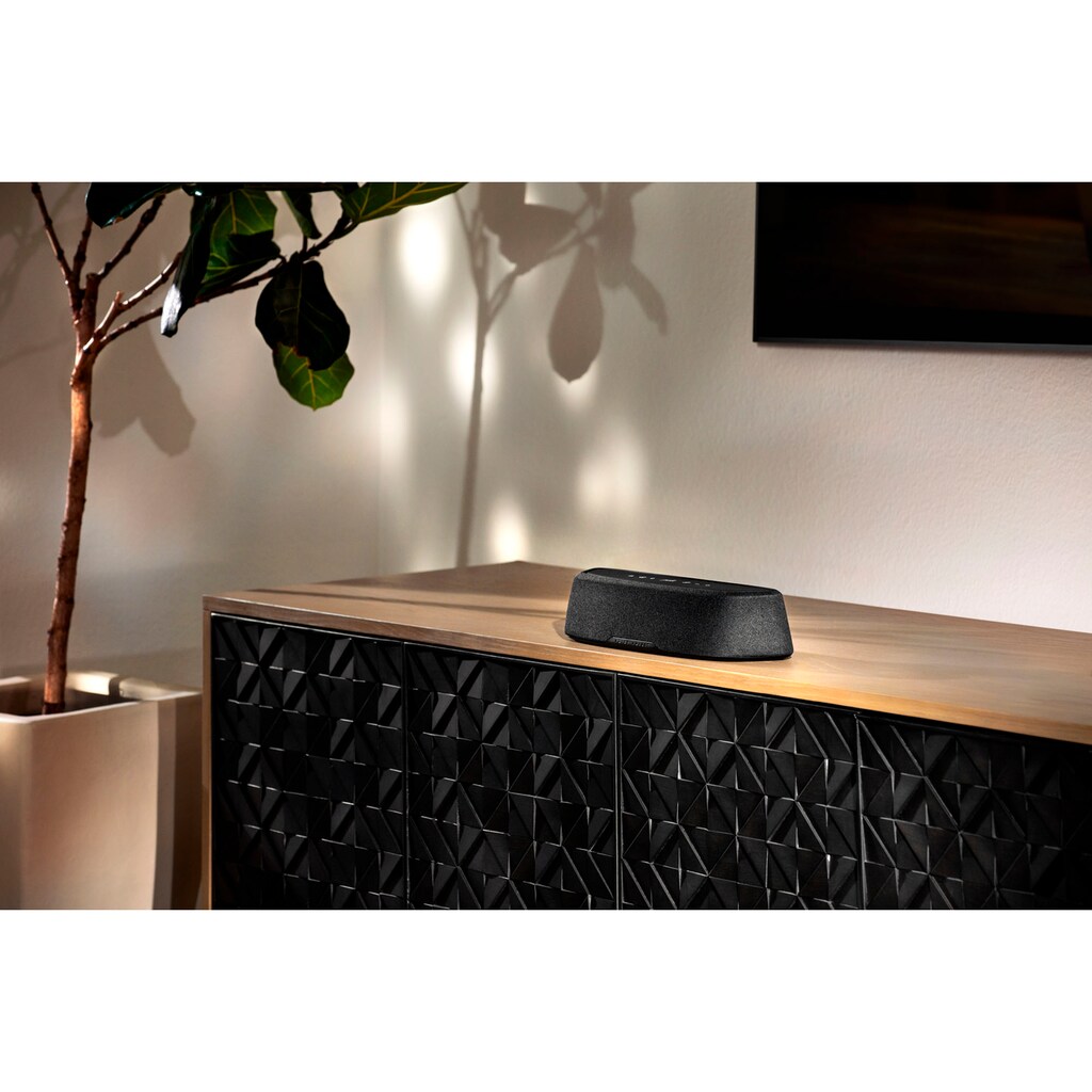 Polk Soundbar »Magnifi Mini AX«