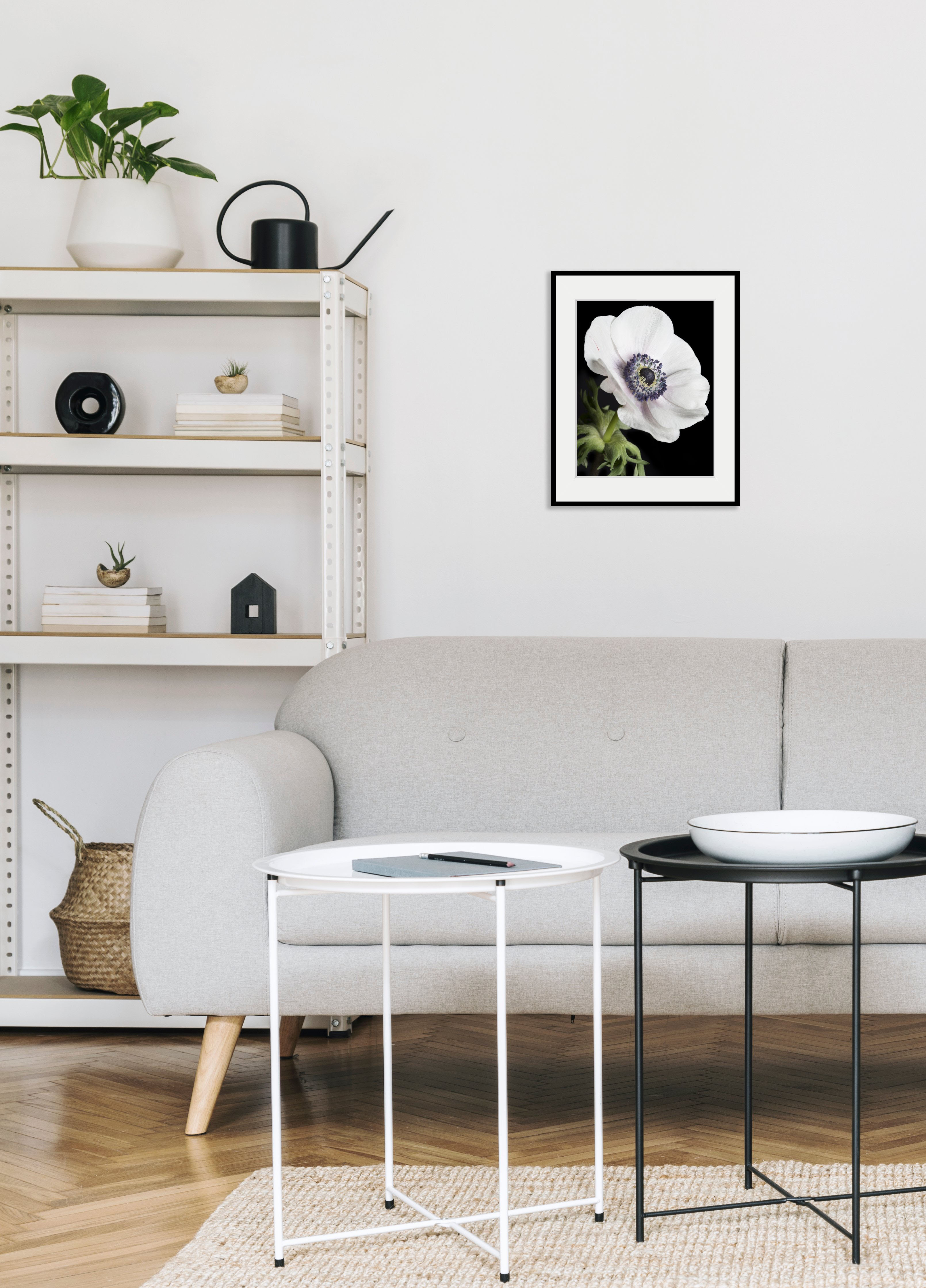 queence Bild "Leslie" Blumen Foto Pflanzen Pflanzenbilder 1 Stk. tlg. HD Premium Poster-Druck inkl. Holzrahmen