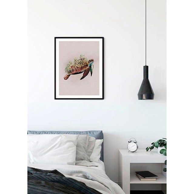 Komar Poster »Animals Paradise Turtle«, Tiere, (1 St.), Kinderzimmer,  Schlafzimmer, Wohnzimmer | BAUR