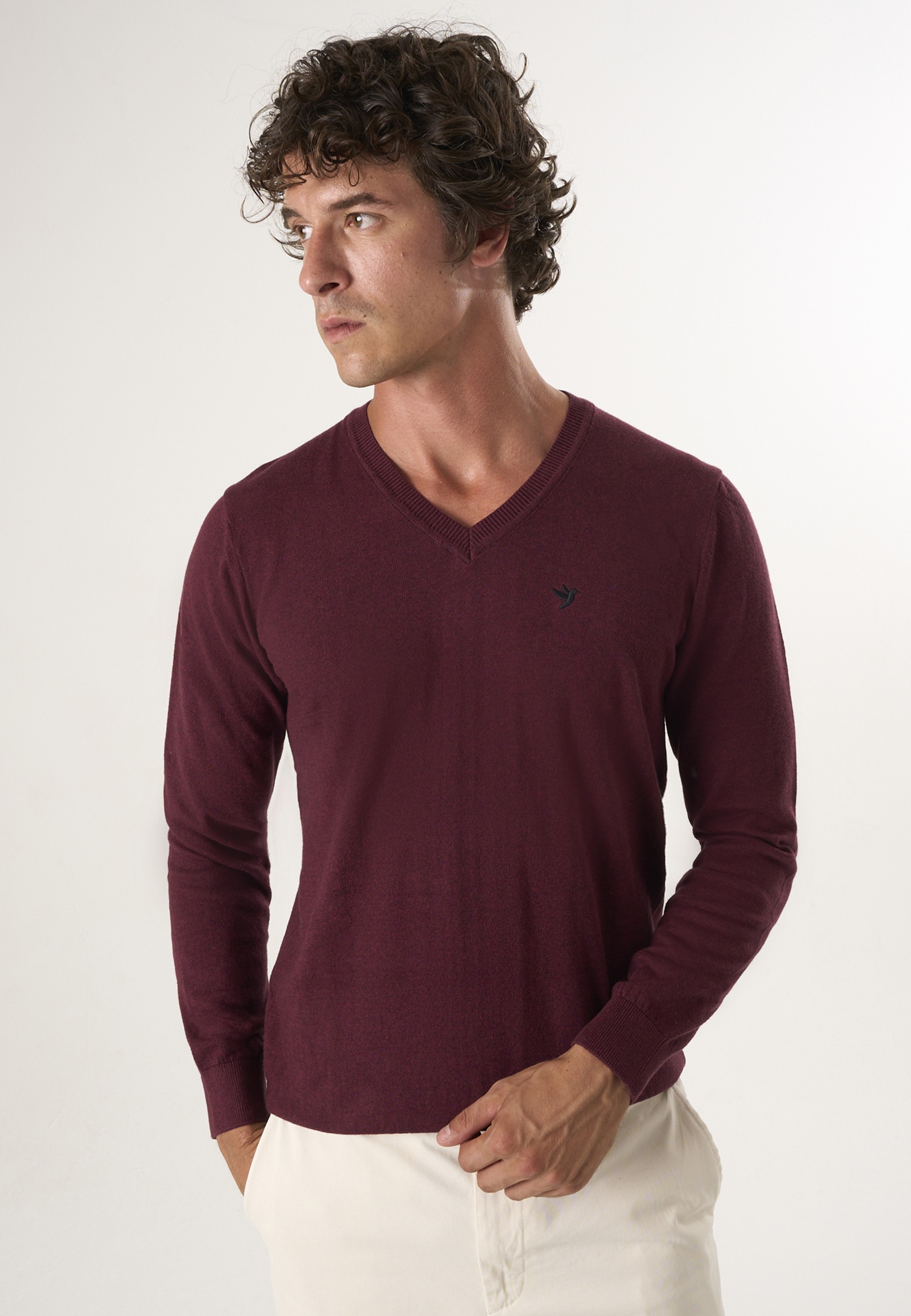 Felix Hardy V-Ausschnitt-Pullover "Pullover mit V-Ausschnitt"