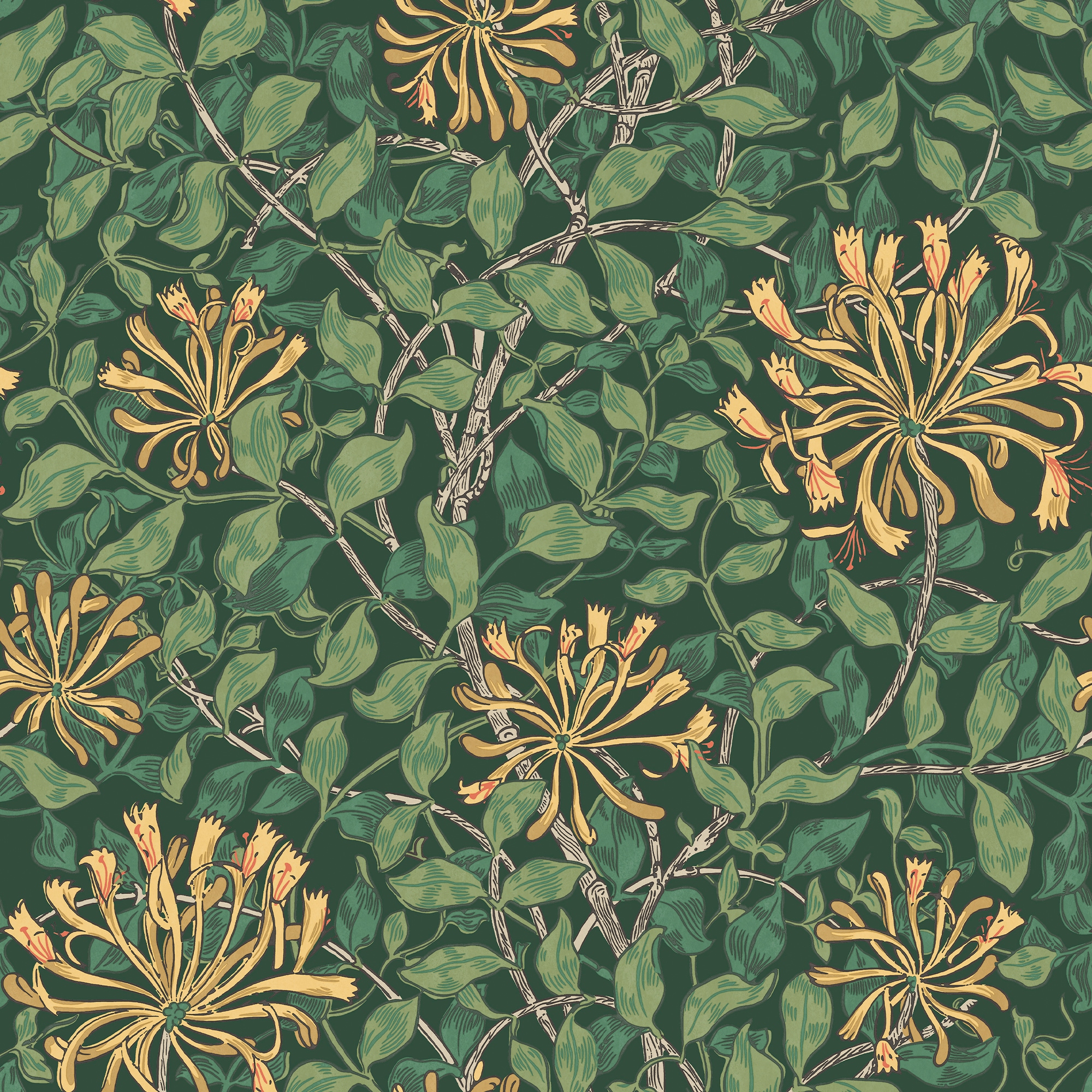 WILLIAM MORRIS AT HOME Vliestapete »Honeysuckle Verde«, Motiv, Design Tapeten